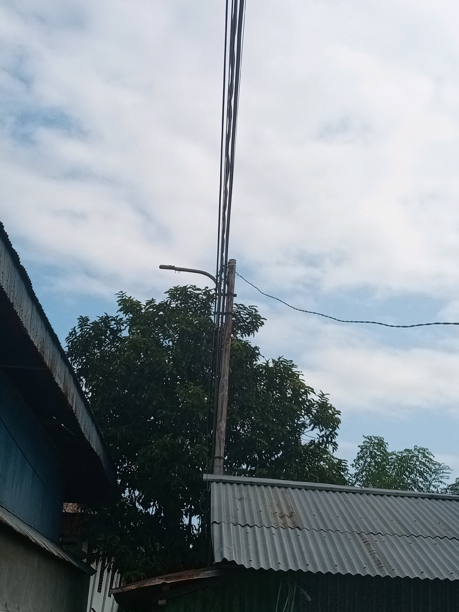 The image depicts a street scene in Bitung, Indonesia, under a cloudy sky. A wooden utility pole with multiple overhead electrical wires is centrally located. Attached to the pole is a street lamp. To the left, the corrugated metal roof and blue-painted side of a building are visible. In the background, a dense green tree with dark leaves occupies a significant portion of the frame. Further to the right, the corrugated metal roof of another structure is visible, with more trees in the distance. The overall impression is one of an ordinary urban or semi-urban environment, likely on a slightly overcast day.