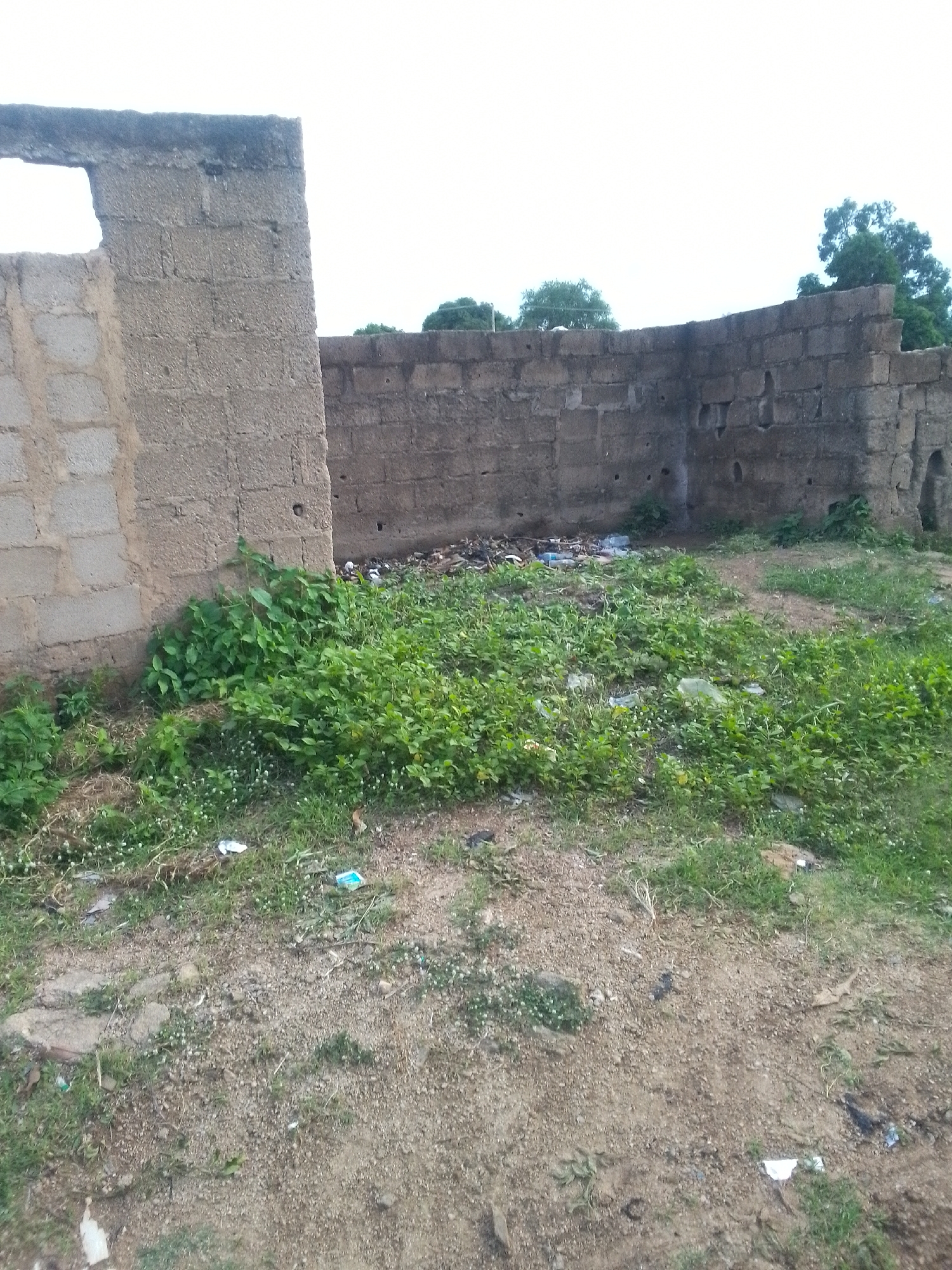 This media file captures an outdoor scene in Jalingo, Nigeria. The image features the partially constructed remains of a building, with cinder block walls in various states of completion. In the foreground, there is an abundance of green foliage and grass, interspersed with some scattered debris, including plastic wrappers and bottles. The ground is a mixture of dirt and sparse vegetation.
To the left, a wall with an open rectangular space, possibly a window or doorway, is visible. This wall is constructed from larger cinder blocks. Behind it, another section of wall, made from smaller, more uniform cinder blocks, extends to the right. This wall curves slightly and appears to be part of a larger structure, possibly a perimeter wall or another room. The wall shows signs of age and wear, with some discoloration and crumbling mortar.
In the background, more trees and vegetation can be seen against a pale, overcast sky. The lighting suggests it might be daytime, possibly late afternoon, given the diffused light and lack of harsh shadows. The overall impression is one of an unfinished or abandoned construction site, possibly in a rural or semi-urban area, with nature beginning to reclaim the space. There is no discernible text in the image.