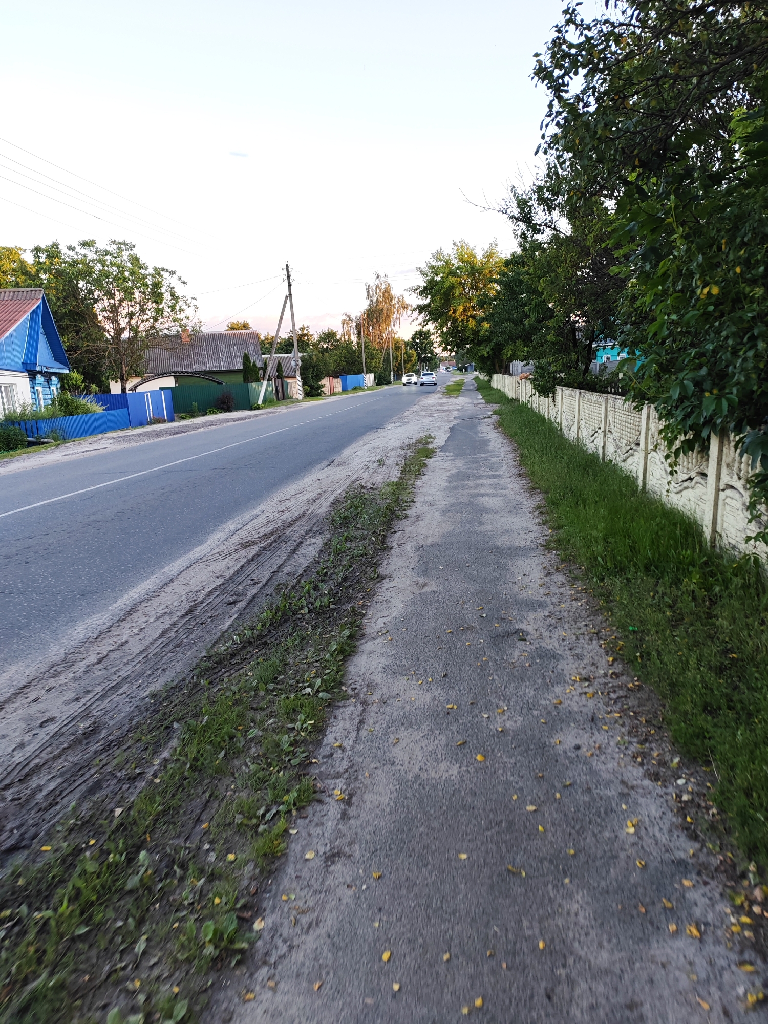 The image shows a rural road scene in the village of Chonkaŭski Sieĺski Saŭiet, Belarus, during the late afternoon or early evening. The road is paved and has a white lane marker. To the left of the road, there are houses with blue and grey roofs, some with blue fences, and trees. Power lines are visible in the sky. To the right of the road, there is a sidewalk with scattered yellow leaves, bordered by a concrete decorative fence and grass. Several trees with dense green foliage line the right side of the scene. Two white cars are visible on the road in the distance. The ground next to the road on the left is muddy with tire tracks, indicating recent rain or construction. The overall impression is of a quiet, residential area on the outskirts of a village.