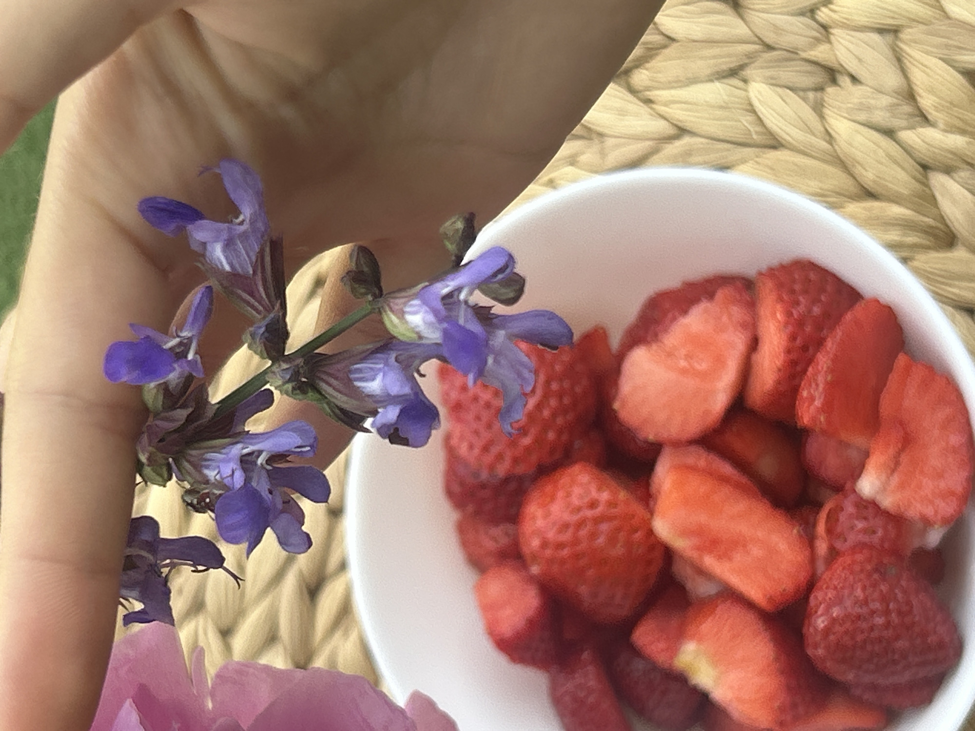 The image presents an overhead perspective capturing a light-skinned hand holding a cluster of purple, tubular flowers with green stems and buds in the upper portion of the frame. Below the hand, a white bowl contains numerous red strawberries, some appearing whole, others halved or quartered. A blurred, soft pink floral element is partially visible on the far left. The bowl and a portion of the scene rest on a light-colored, woven mat. In the upper right background, a blurred patch of green vegetation, consistent with grass, is visible. The scene is located in Unknown, Unknown.