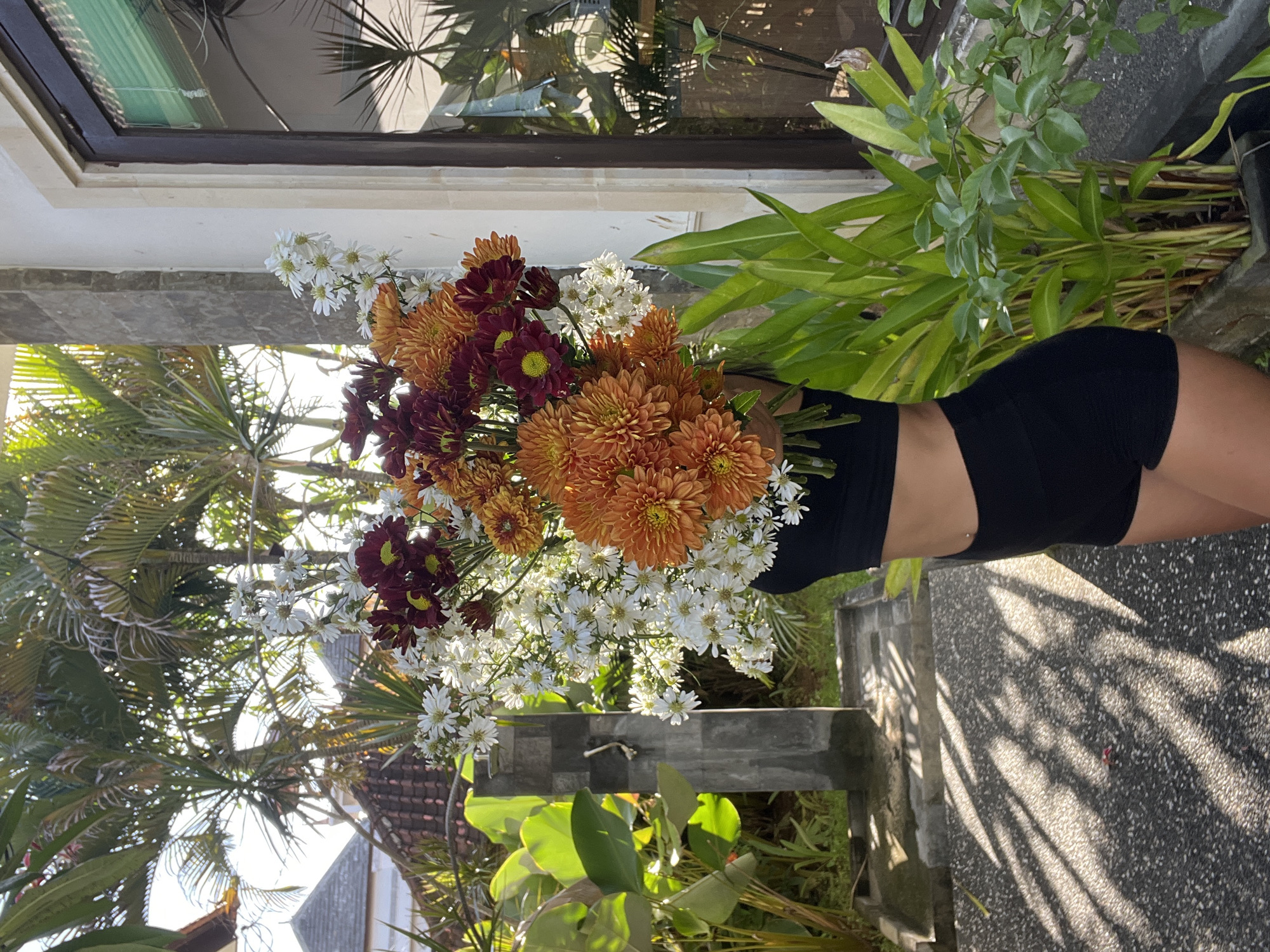 The image, rotated 90 degrees clockwise, captures the mid-section of a person holding a large, vibrant bouquet of flowers outdoors. The individual, likely female, is wearing a black athletic top or bra and black shorts, with a visible belly button piercing. Their face is obscured by the expansive floral arrangement.
The bouquet is prominent, featuring a mix of orange, white, and dark red chrysanthemum-like flowers, possibly complemented by white daisy-like blooms. The blooms are fresh and full, suggesting a recent gathering.
The setting is a lush, tropical or subtropical outdoor environment, consistent with Kuta Selatan, Indonesia. The background is rich with greenery, including large palm fronds and other leafy plants. Architectural elements are visible, including a white building wall with a dark-framed window reflecting the surrounding foliage and sky. A tiled roof is partially seen through the dense plant life. The ground or a low stone wall in the foreground is a speckled grey, with sharp, elongated shadows cast by overhead leaves, indicating bright, direct sunlight.
The activity is the simple act of holding the bouquet, possibly for presentation, decoration, or a photo. The clear sky and strong shadows confirm it is a sunny day. No visible text is present in the image.