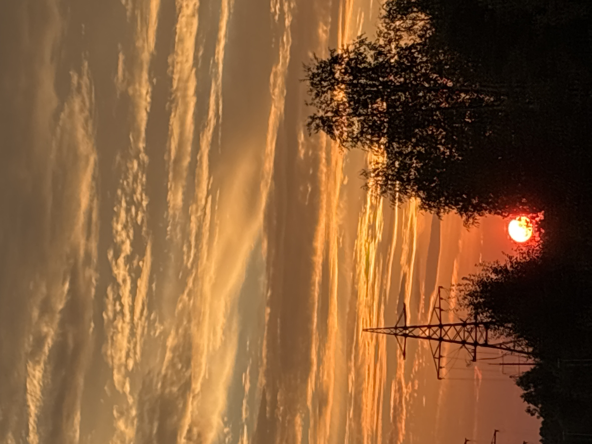 This is a vertical, medium-distance, eye-level shot of a sunset over a silhouetted treeline in Nizhnevartovsk, Russia. The sky is a vibrant orange and yellow, filled with streaks of clouds. The sun, a bright red orb, is visible just above the horizon, partially obscured by trees. To the left of the sun is a tall, dark silhouette of a power line tower. Several trees with dark foliage are visible in the foreground, with the power tower to their left. The bottom portion of the image is dominated by the dark silhouettes of trees and the power line tower, with the bright sun creating a strong contrast. The scene appears to be located in an outdoor, possibly rural or industrial area, given the presence of the power tower and trees.