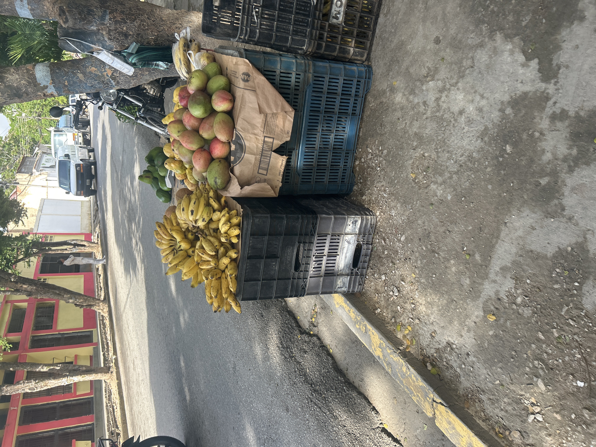 This image depicts a street scene in Santa Ana, Venezuela, likely near a market or roadside vendor. In the foreground, several plastic crates are stacked, holding a large display of ripe yellow bananas and a pile of red and green mangoes. Behind the fruit, a motorcycle is parked next to a tree. The street is paved, with a curb and sidewalk. In the background, a building with yellow and pink facades is visible, along with other vehicles on the street, including a white van and a truck. A lone individual is standing on the sidewalk in front of the building. The overall scene suggests a lively urban environment with commercial activity.
