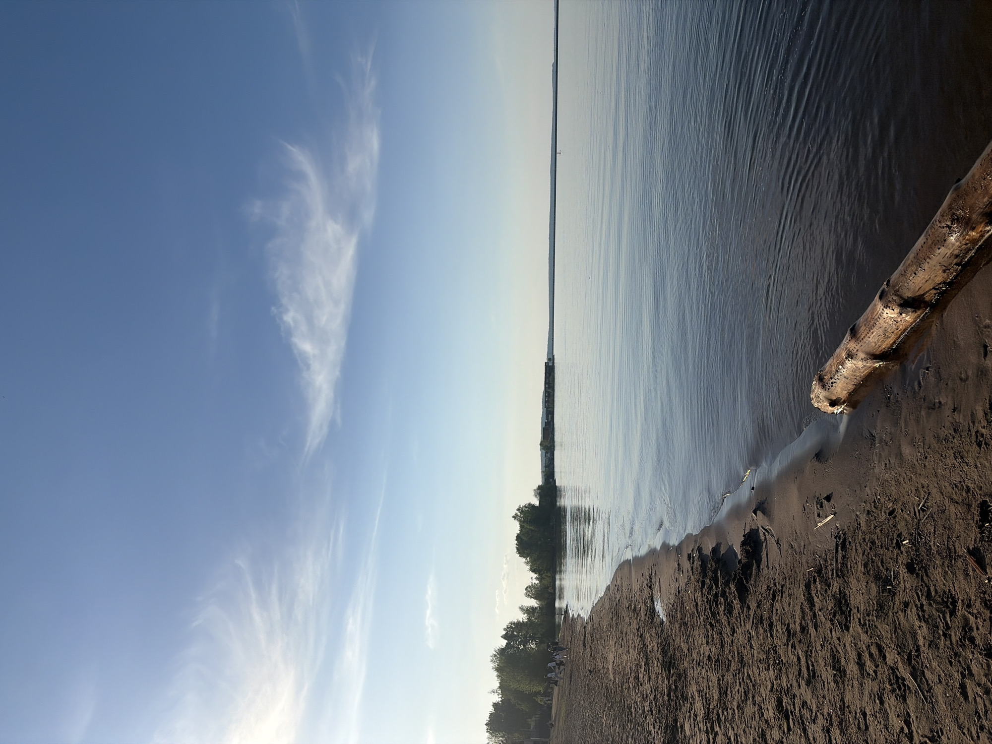 The image shows a shoreline view, likely of the Kama River in Chaikovsky, Russia. The sky is blue with wispy clouds. The water is calm with subtle ripples. A dark sandy beach borders the water, with a fallen log partially submerged at the edge. Vegetation, likely trees, lines the shoreline in the distance. A pier or structure is visible extending into the water further away. No people are distinctly visible.