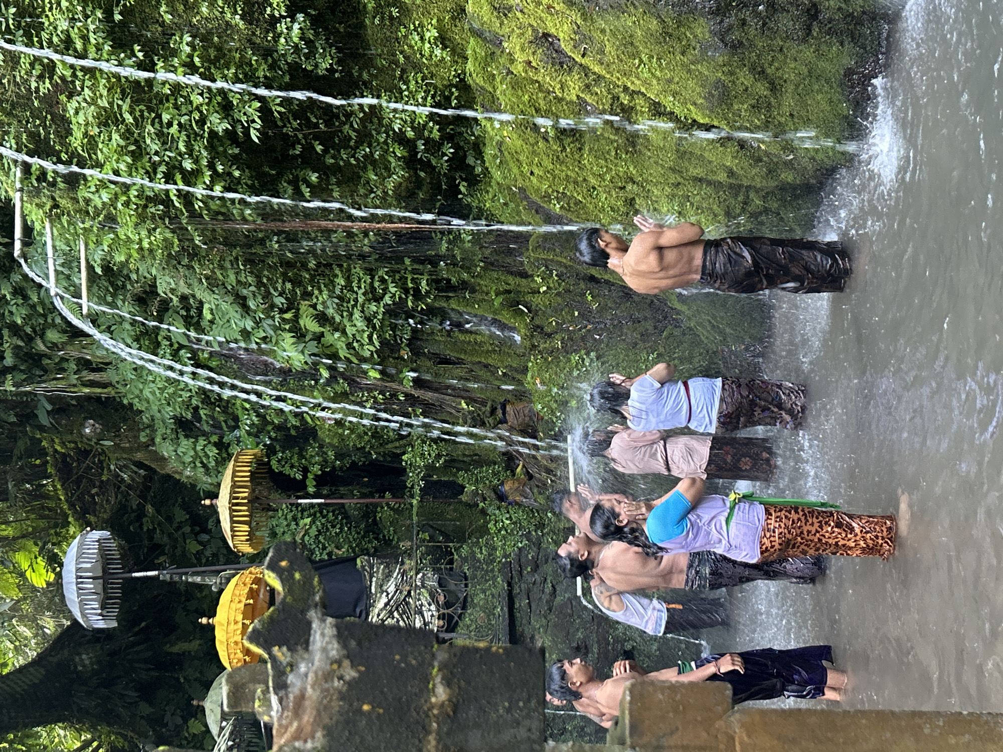 In Bangli, Indonesia, within a lush, green natural setting, a group of people are participating in a cleansing ritual under a series of small waterfalls. The water cascades down a moss-covered rock face, forming a shallow pool where individuals stand.
Several individuals are visible in the water. On the left, a man in dark pants is partially submerged. To his right, another man wears a white tank top and dark pants. Behind them, a person in a white tank top and dark patterned pants stands. A woman in a blue top and a patterned skirt is in the center, with her hands near her face. Next to her, a person in a light brown tunic and patterned skirt stands, also with hands near their face. Another individual in a white tunic and patterned skirt is further to the right, also with hands near their face. A man in dark patterned pants is on the far right, with his hands clasped in front of him as water falls on him.
In the background, traditional Balinese umbrellas are displayed, with two golden umbrellas and one white umbrella visible amongst the dense greenery. The environment is characterized by abundant vegetation, with trees and vines creating a natural canopy. The overall scene depicts a spiritual or cultural practice taking place in a serene, natural environment.