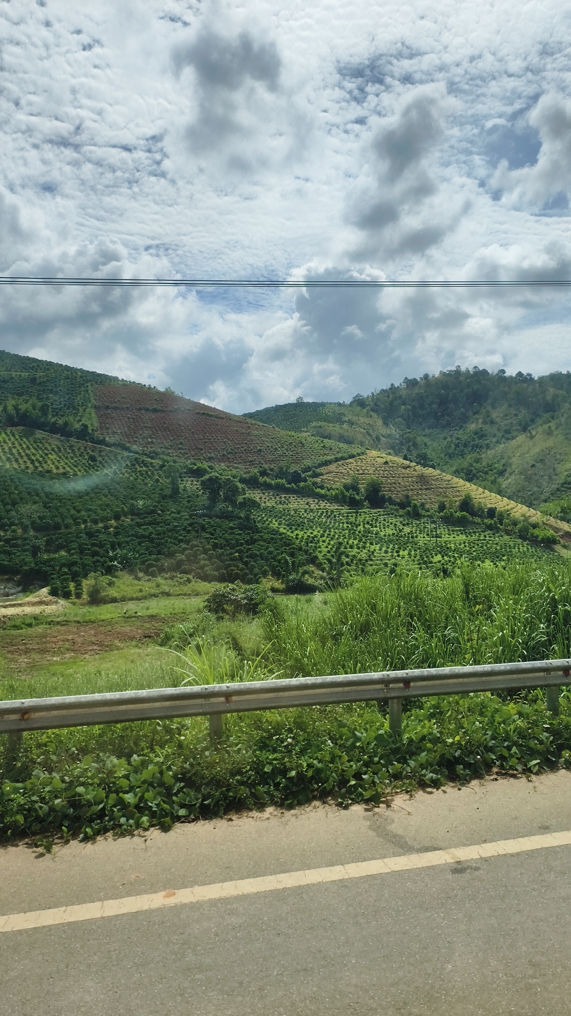 This is a full-shot, eye-level, outdoor, daytime photograph taken from a moving vehicle, likely a car, on a paved road. The scene depicts a terraced hillside covered in agricultural fields under a cloudy sky. In the foreground, a section of the road with a yellow line is visible, bordered by a silver metal guardrail and lush green vegetation, including tall grass and low-lying vines. The hillside beyond the guardrail is divided into distinct agricultural plots, some appearing tilled and barren, others densely planted with small, uniform green crops, possibly coffee or tea plants. The terraces are carved into the rolling hills, with some areas showing signs of erosion or cultivation. In the distance, more hills and vegetation create a layered landscape. Overhead, a cloudy sky with patches of blue suggests a partly sunny day. Power lines are faintly visible stretching horizontally across the upper portion of the image. The overall impression is of a rural, agricultural landscape.