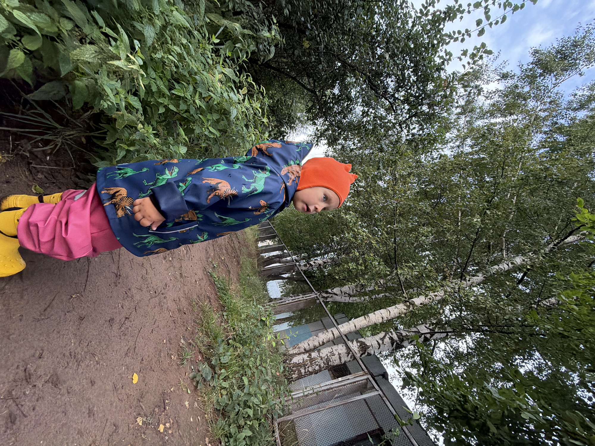 A young child, facing away from the camera and looking to the left, stands on a dirt path in a naturalistic outdoor setting. The child is wearing an orange beanie, a blue jacket with a dinosaur print, and pink pants. Yellow boots are visible at the bottom of the frame. To the left of the path, dense green foliage grows, while to the right, a row of birch trees stands alongside a chain-link fence. The background shows a building behind the fence. The sky above is partly cloudy. The overall scene suggests an outdoor excursion, possibly in a park or a suburban area with natural elements. The location is identified as Chaikovsky, Russia.