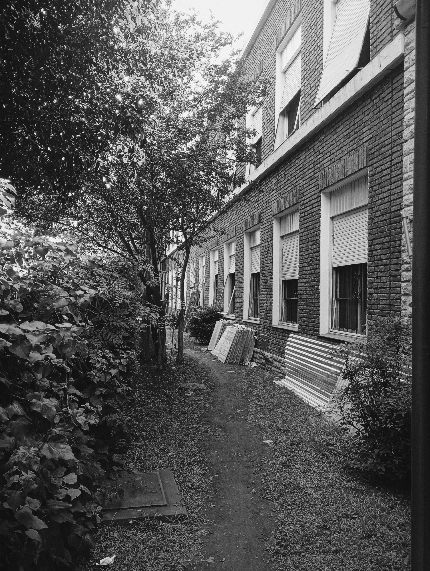 The image depicts a narrow path running alongside a two-story brick building in black and white. The building has several windows with closed or partially open blinds. Construction materials, including sheets of corrugated metal and wooden planks, are stacked against the building's exterior wall. Lush vegetation, including trees and dense bushes, lines the opposite side of the path, creating a contrast between the built environment and nature. A manhole cover is visible in the foreground. The overall scene suggests a neglected or transitional space in an urban environment, typical of Buenos Aires, Argentina.