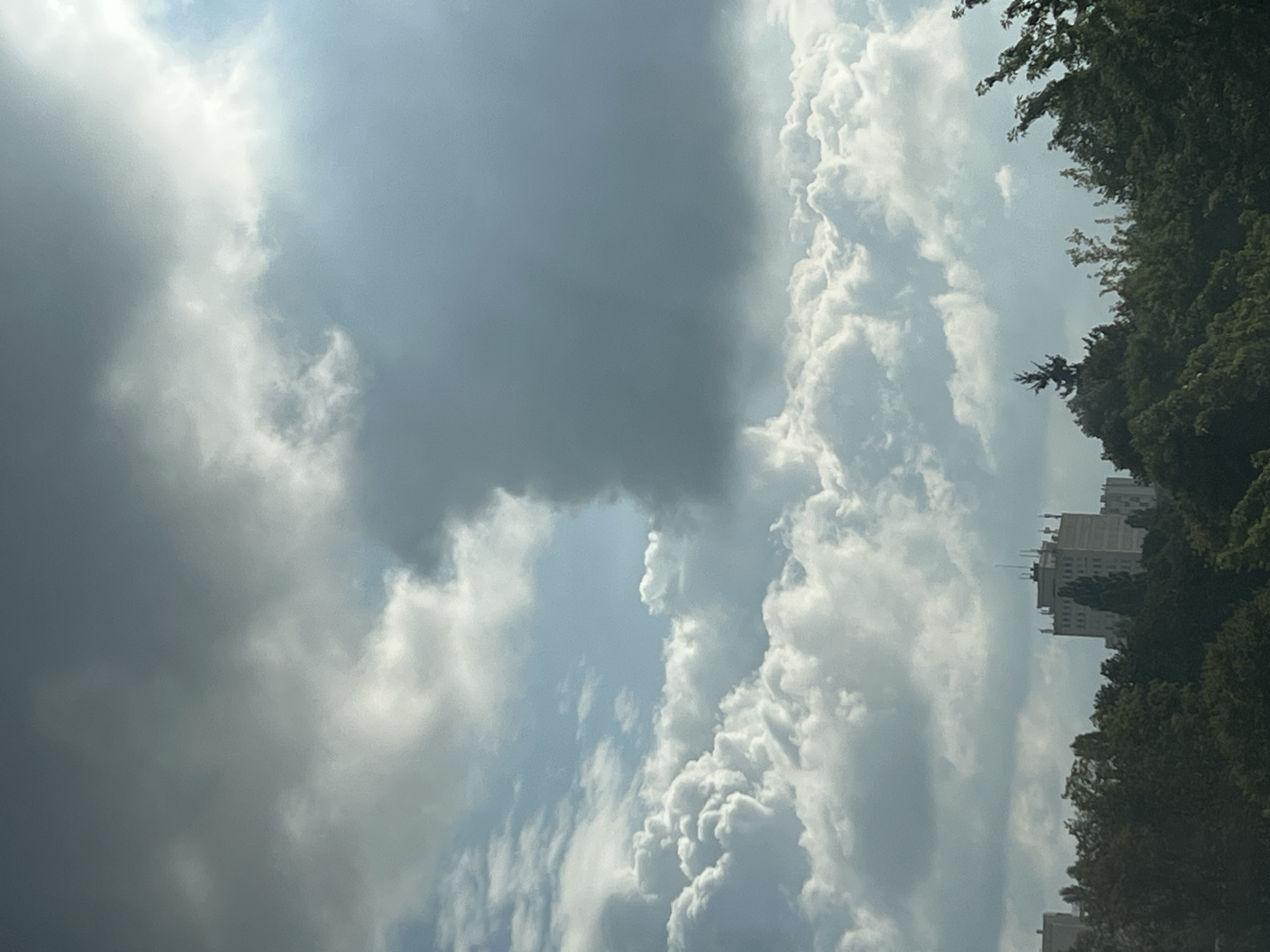 The image depicts a partially cloudy sky over a city skyline. In the foreground, lush green trees form a dense canopy, with hints of buildings peeking through the foliage. Prominent among the buildings is a tall, light-colored structure with a flat roof and multiple antennas, suggesting it might be an apartment building or office complex. The sky is dominated by a dramatic contrast between bright, puffy white clouds and dark, ominous gray clouds. A patch of bright blue sky is visible, indicating a break in the cloud cover. The overall impression is one of a dynamic weather system passing over an urban landscape. Based on the architecture and the dense greenery, the location is consistent with a residential or park area within Warsaw, Poland.
