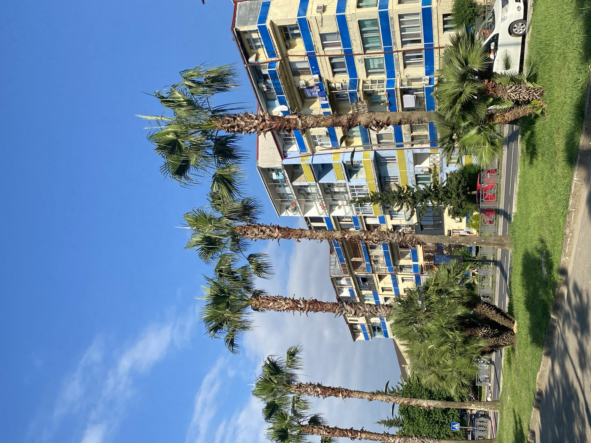 This is a vertical, medium-shot, eye-level outdoor photograph of a street scene in Batumi, Georgia. The building in the background is yellow with blue trim and balconies. It appears to be an apartment building with multiple floors and many windows. Several tall palm trees are in the foreground, with their fronds reaching up towards the bright blue sky with scattered white clouds. In front of the building, there are smaller palm trees and green grass. A white car is parked on the right side of the street, and a red car is visible behind a fence. The scene suggests a sunny day in a coastal city.