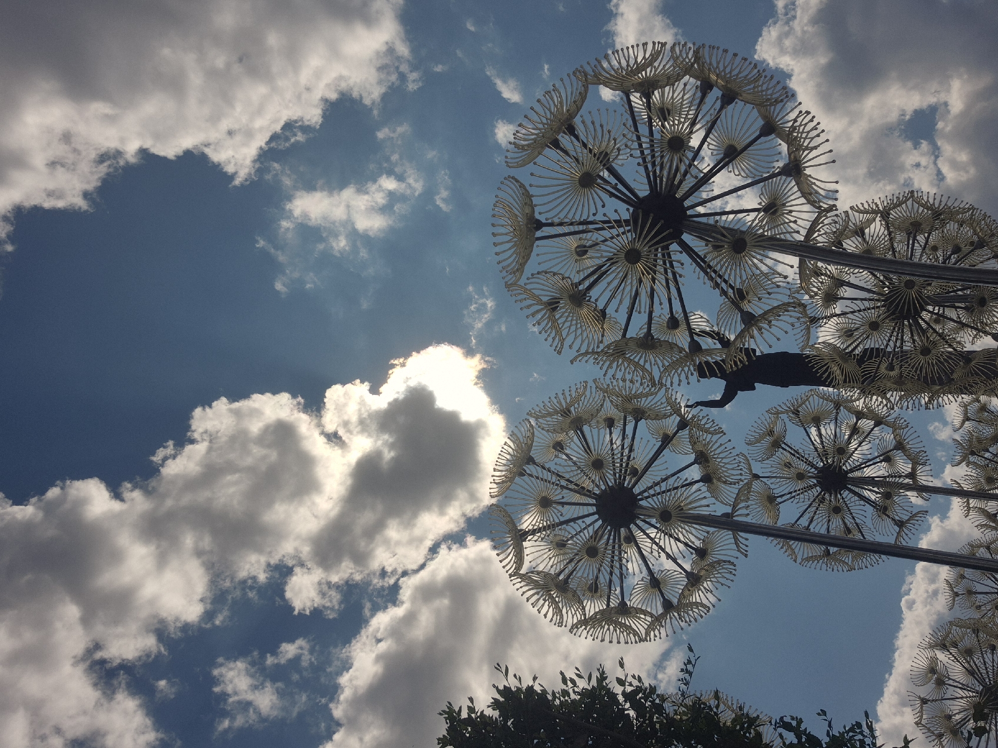 The image shows a low-angle shot looking up at a public art installation of large, stylized dandelions. The sculptures are made of metal with yellow, fan-shaped petals radiating from a central dark hub. They are illuminated by sunlight filtering through a bright blue sky filled with fluffy white and grey clouds. One of the sculptures is positioned to the right of center, and another is to the left. A dark silhouette of a person is standing on top of one of the dandelion heads, appearing to interact with it. In the upper left corner, a portion of a dark green tree is visible. This art installation is located in the city of Kokshetau, Kazakhstan, likely in a public park or square.