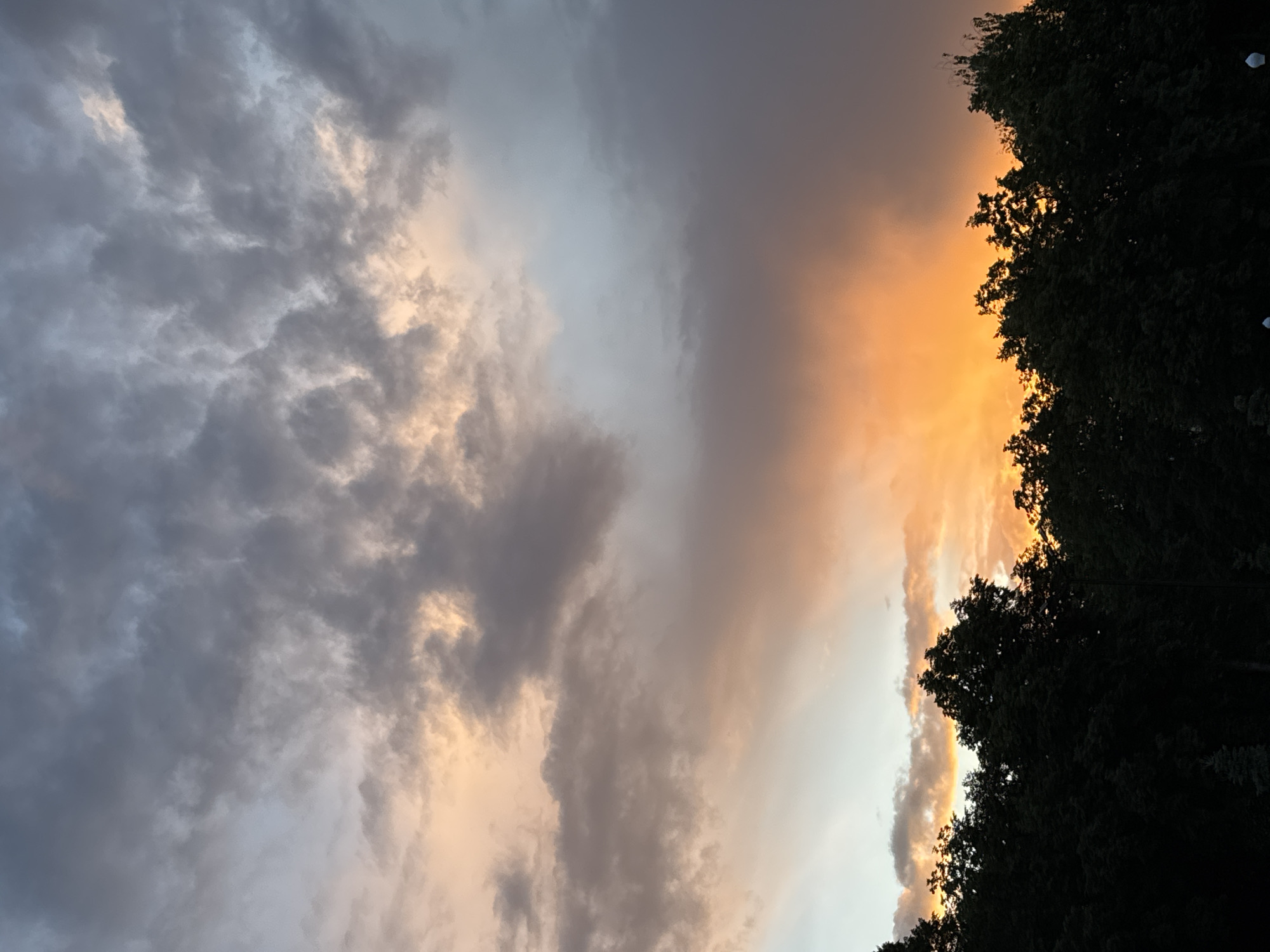 The image shows a sky with a dramatic sunset near trees. The left side of the sky has dark gray and blue clouds, while the right side is filled with a bright orange glow, likely from the setting sun. The silhouette of tree branches are visible on the right side. Location in the city of Unknown, Unknown.