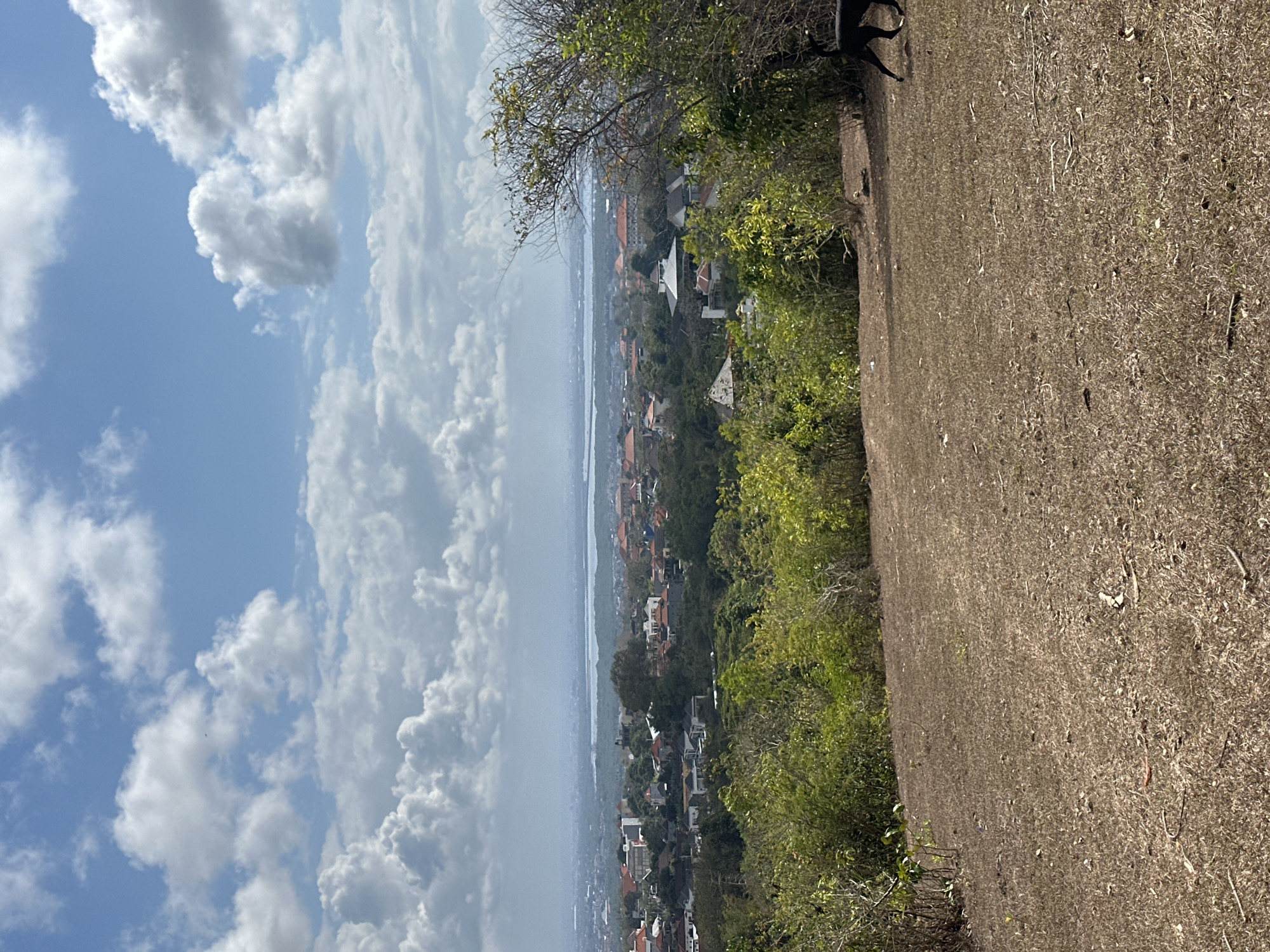 A high-angle view captures a landscape scene with a town and body of water in the background. The foreground consists of dry, brown grass and sparse vegetation. In the mid-ground, a dense area of green trees and bushes separates the foreground from a town with red-tiled roofs and scattered buildings. A large, light-colored body of water is visible beyond the town, with a hazy horizon and a cloudy sky above. On the far right of the frame, a black dog is seen walking away from the camera.