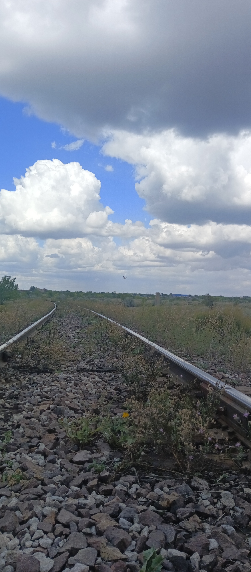 A ground-level, eye-level shot captures a pair of train tracks receding into the distance under a dramatic sky filled with large, billowing cumulus clouds. The tracks are made of metal rails supported by a bed of varied grey and brown rocks. Sparse green and dry brush, along with a single yellow wildflower, grow between the rocks and along the edges of the tracks. In the far distance, a faint silhouette of a bird is visible in flight against the sky. The landscape beyond the tracks appears to be a flat, semi-arid plain covered in low-lying vegetation and some distant structures. The overall scene conveys a sense of isolation and the passage of time, hinting at a rural or disused railway line in the outskirts of Karaganda, Kazakhstan.