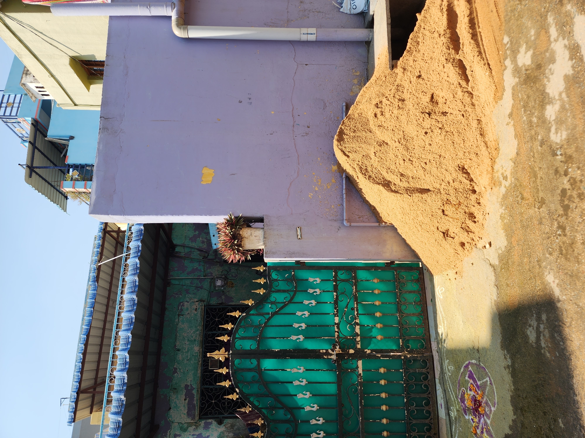 The scene depicts an outdoor residential area in Pedda Kammavaripalli, India, under clear daylight. A large, conical pile of sandy-brown aggregate rests on a concrete and dirt ground surface in the foreground, positioned against a building wall.
To the left, a two-story building features a weathered, dark teal facade with extensive peeling paint and an upper window secured by a wrought-iron grill. Its roof structure consists of blue-trimmed corrugated metal with an additional blue railing visible above. Directly in front of this building is a closed, dark teal double gate constructed of ornate wrought iron, adorned with golden finials and decorative swan-shaped motifs.
To the right of the gate, a building wall exhibits a pale lavender exterior with visible cracks and areas of paint loss. A white PVC downspout runs vertically along this wall, connecting to a horizontal pipe near the base of the sand pile. A white potted plant with dark reddish-green foliage sits on a concrete ledge protruding from this wall, adjacent to the gate.
On the ground directly in front of the gate, a colorful Rangoli design is present, featuring purple and white outlines filled with yellow and orange floral elements. Portions of the ground appear damp, and strong shadows are cast across the lower foreground. Above the structures, a clear blue sky is visible. No individuals, actions, or interactions are observed.