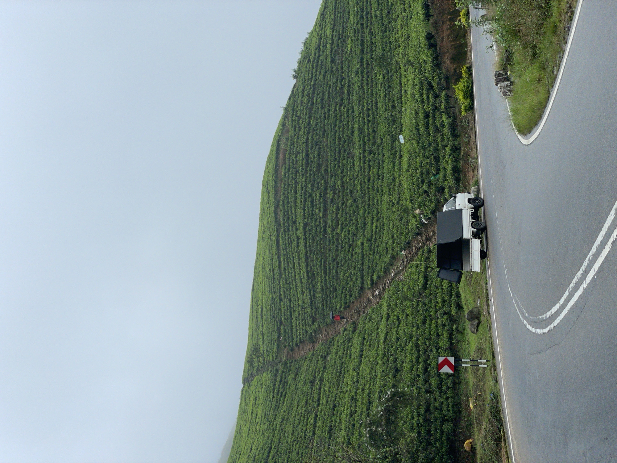This landscape image shows a winding road next to a tea plantation in Toppass, Sri Lanka. The hillside is covered in rows of vibrant green tea plants. A dirt path cuts through the plantation, and a person in red can be seen walking along it. Beside the road, a white truck with open doors is parked. A roadside marker is next to the road. The sky is pale blue.