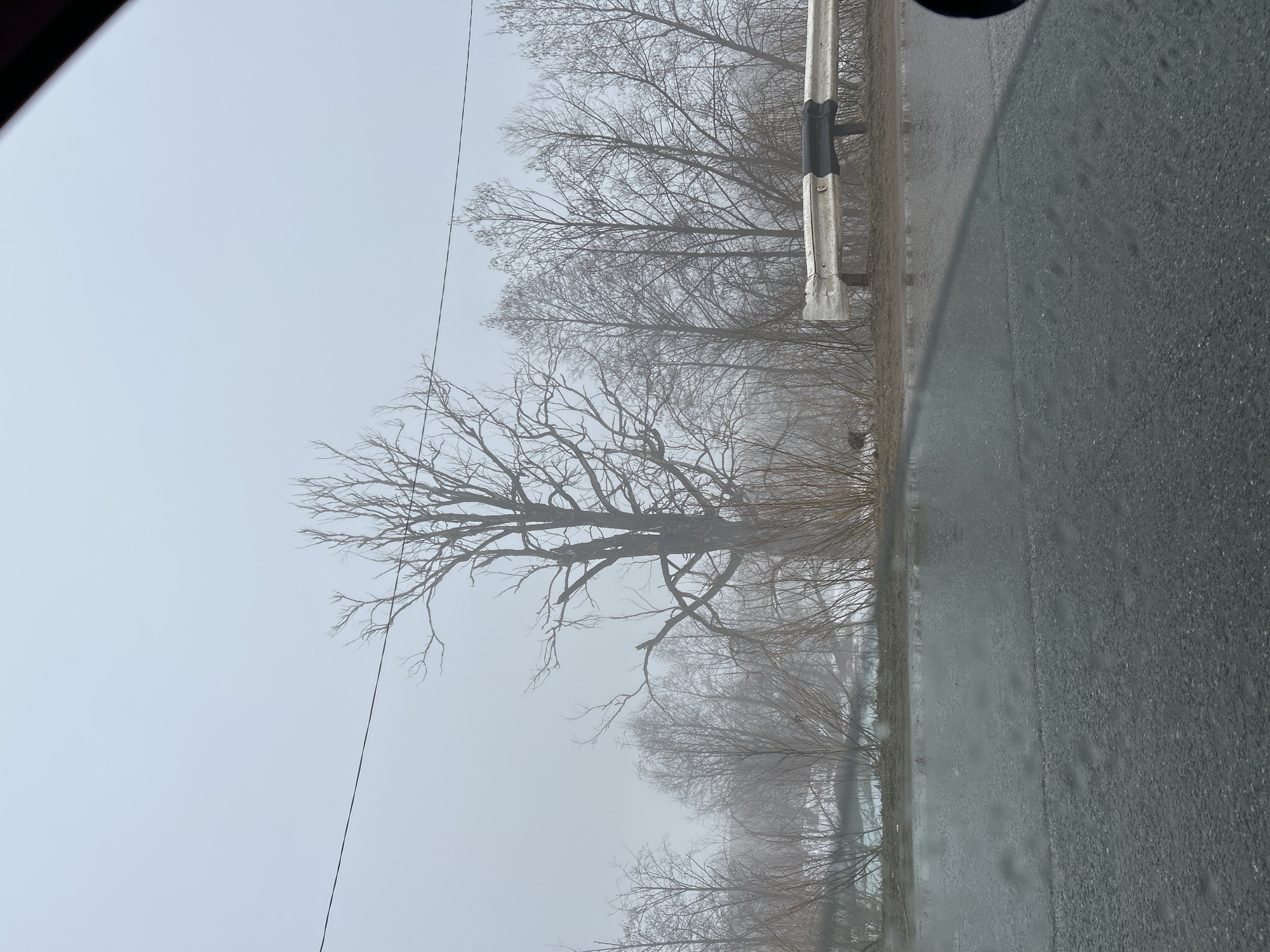 The image shows a foggy roadside scene, likely taken from inside a vehicle. Trees with bare branches line the road. A guardrail is visible along the side of the road. The pavement appears wet. The location is Уральское, Russia.