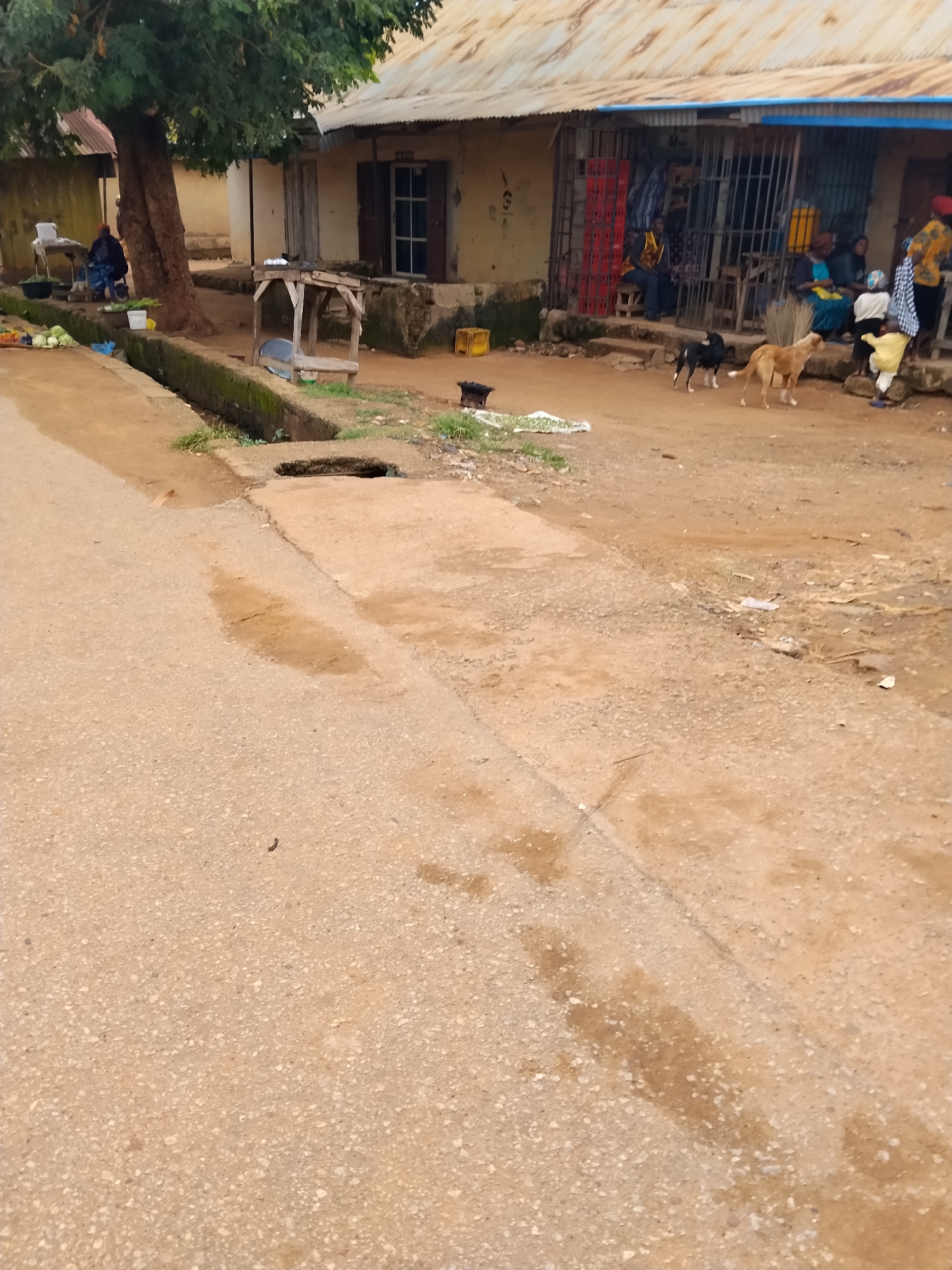 A street scene in Mangu Town, Nigeria, features a building with a corrugated metal roof and barred windows, suggesting a shop or commercial establishment. In front of the building, several individuals are gathered, some appearing to be customers and vendors. A woman is seated under a large tree on the left, beside what looks like a market stall with produce. Two dogs, one black and one tan, are present in the foreground on the dirt ground. A narrow drainage channel runs alongside the paved street. The environment appears to be an unpaved area with loose dirt and some scattered debris.
