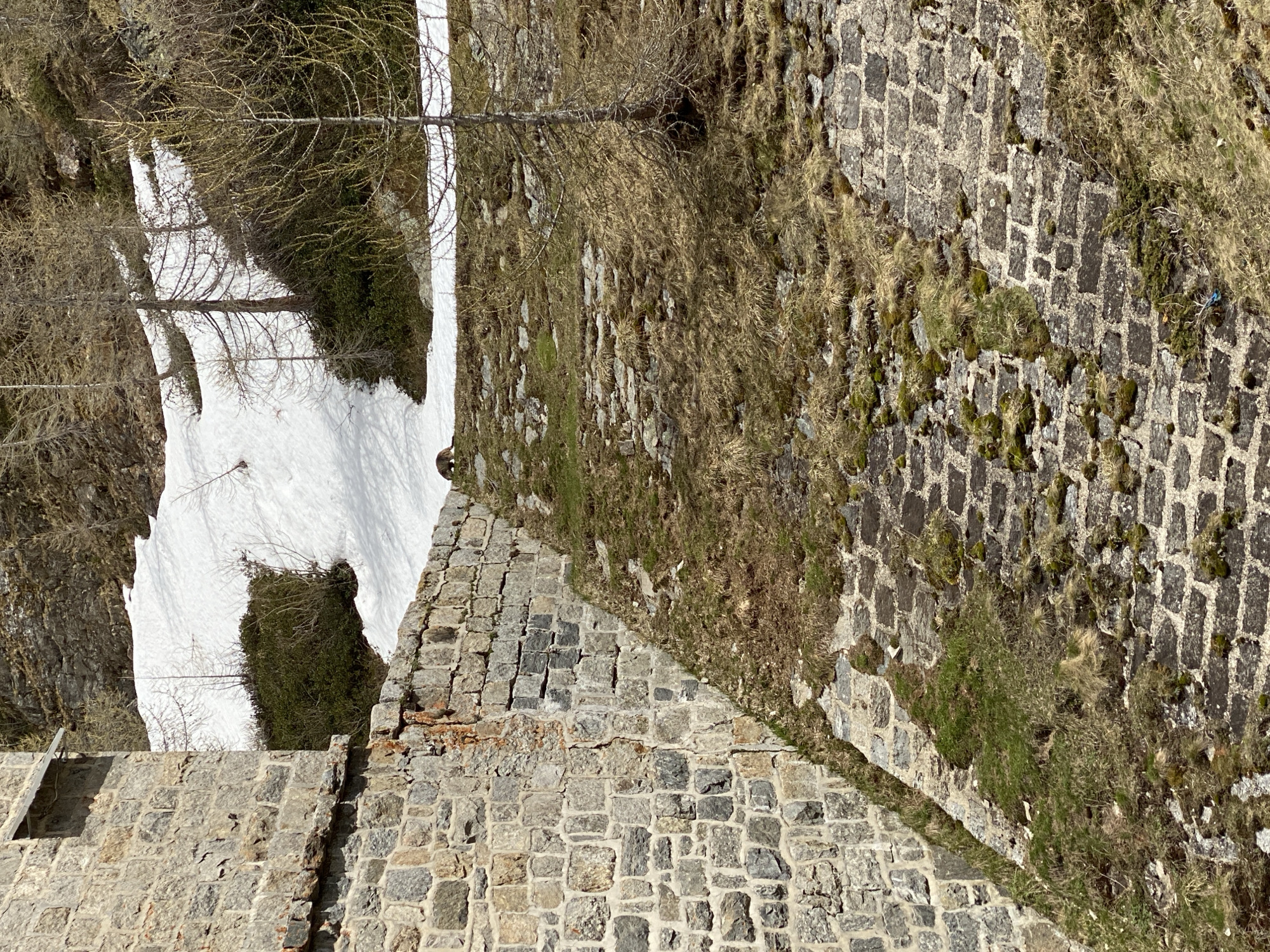 An eye-level, rotated, outdoor shot shows a stone structure near the Italian town of Baceno. A section of snow sits on a cliffside or mountain on the left. Behind it is a sparse stand of leafless trees. To the right of the snow and trees, the cliffside transitions to a grassy area on a slope that leads to a dark, patterned stone wall with patches of moss. To the front left, the lighter colored stone structure, seemingly part of the building or fortification, rises in layers.