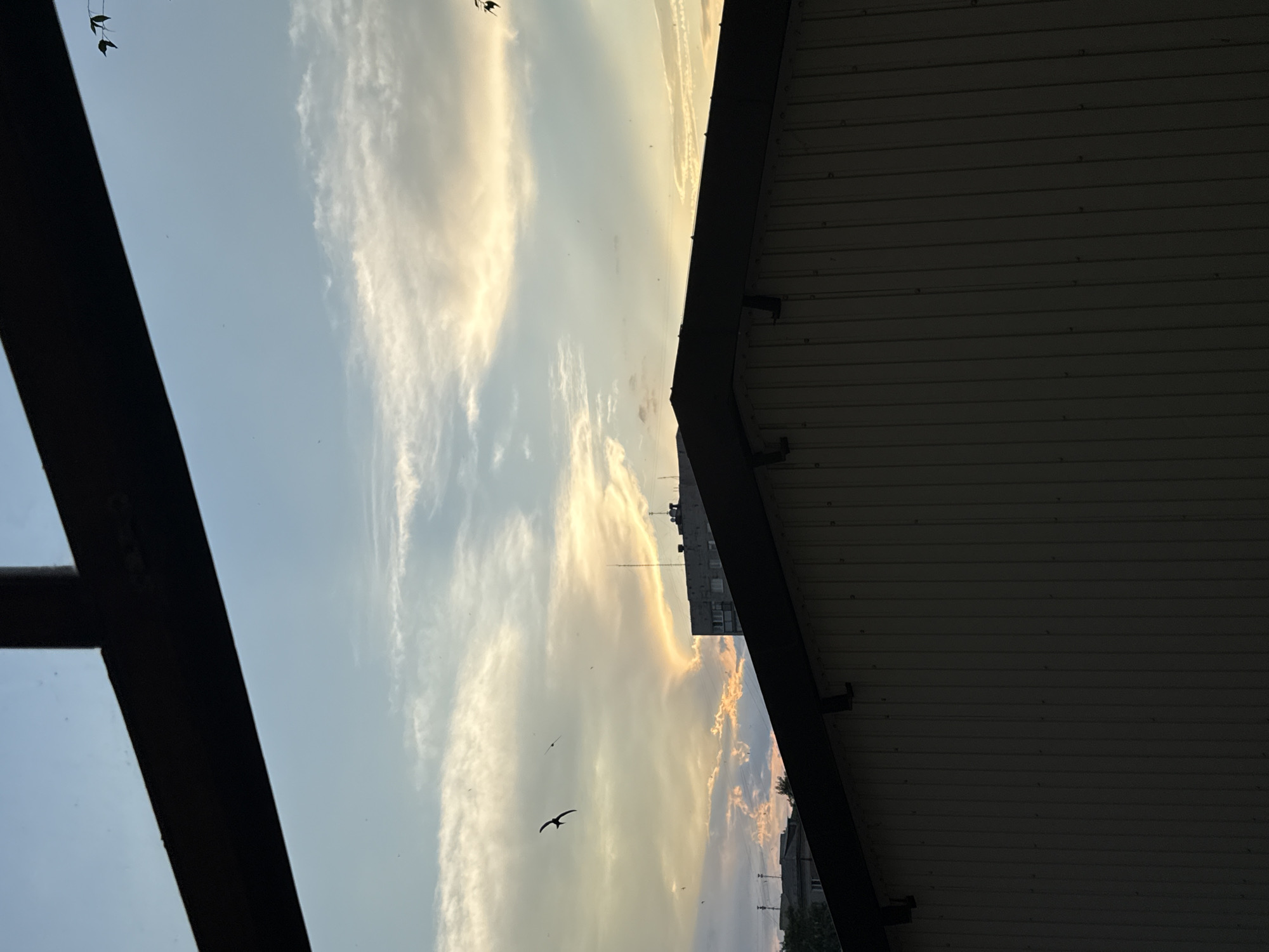 The image captures a sunset scene over the city of Luhansk, Ukraine, viewed from a slightly elevated position, possibly a balcony or window. In the foreground, a dark, angular structure, likely part of a building's roof or awning, casts a shadow, obscuring the lower portion of the frame. The sky is a canvas of soft blues and yellows, with wispy clouds streaked across it, illuminated by the setting sun. A few scattered birds are visible in flight against the colorful sky. In the mid-ground, the dark silhouette of a building's roofline runs horizontally across the image. Beyond that, the distinct shapes of apartment buildings, characteristic of Soviet-era architecture, can be seen against the fading light. The overall atmosphere is one of tranquility, with the natural beauty of the sunset juxtaposed against the urban landscape.