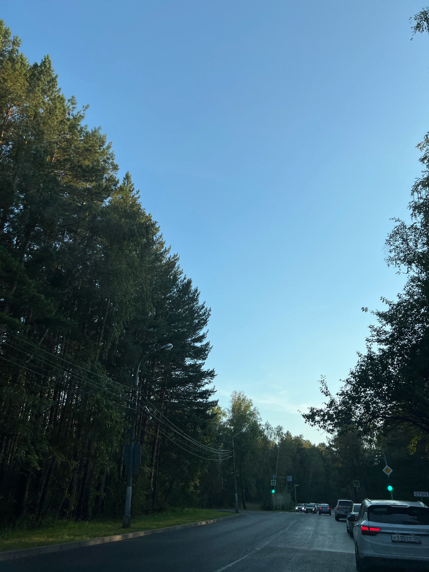 The image captures a view of a road bordered by dense trees, likely on the outskirts of Krasnoyarsk, Russia. The sky is clear and blue. Traffic lights are visible, with some showing green, indicating movement. Several cars are on the road, suggesting moderate traffic. A road sign with the word "СТОП" (STOP in Russian) is present. The overall scene depicts a typical road environment in a natural setting, possibly during the daytime.