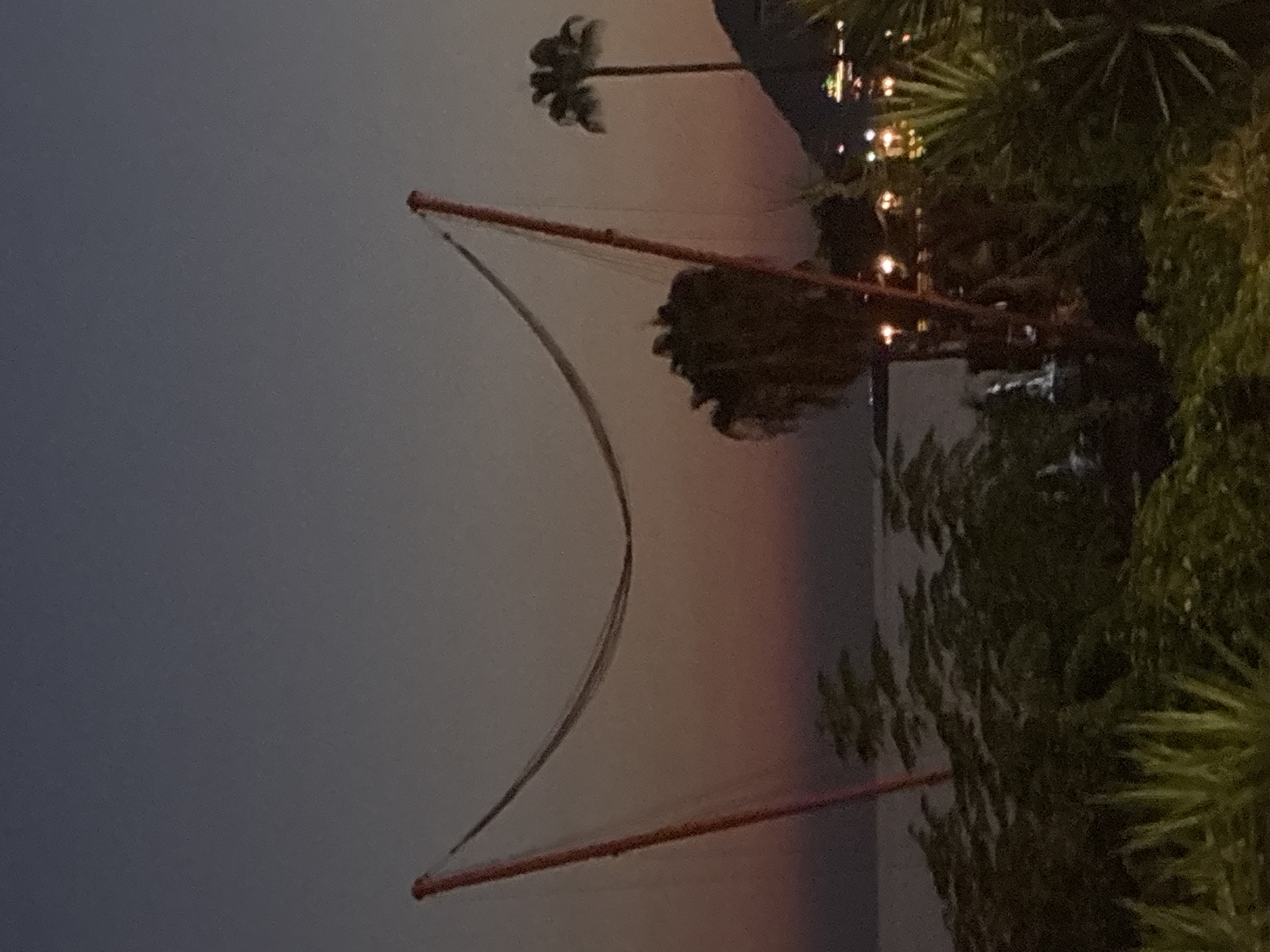 The image shows a twilight scene, likely from Alanya, Turkey, featuring a large net suspended between two orange poles. The net has a concave shape, suggesting it might be part of a recreational facility like a volleyball court or a safety net. In the background, the sea is visible, with a faint horizon line. Several palm trees are scattered across the landscape, with one prominent palm tree standing to the right of the net structure. The sky transitions from a deep blue at the top to a warm orange and pink hue near the horizon, indicating either sunrise or sunset. In the far distance, lights from buildings are visible on a hillside, suggesting a populated area. The foreground is filled with dense green foliage, including what appears to be palm fronds and other tropical plants. The overall atmosphere is serene and tropical.
