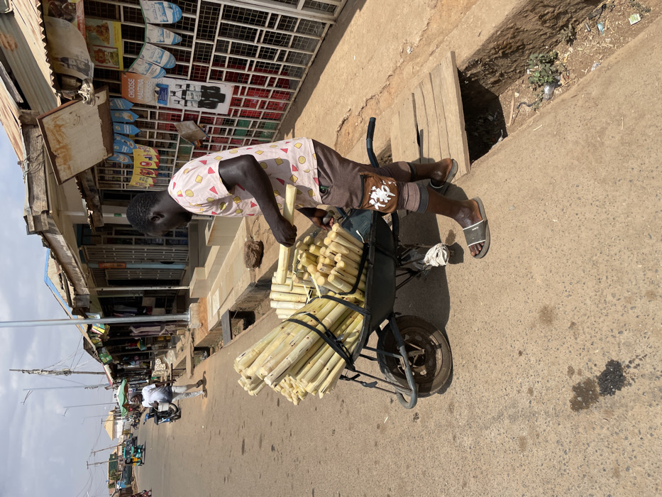 This image captures a vibrant street scene in Jos, Nigeria, characterized by commercial activity under bright daylight.
In the foreground, on the right, a dark-skinned man stands beside a heavily loaded wheelbarrow. He wears a light pink t-shirt patterned with yellow and red geometric shapes, brown cargo shorts with a light brown pocket featuring a white Asian character, and dark grey slide sandals. His left foot rests on a wooden plank bridge spanning an open concrete gutter, while his right foot is on the asphalt road. He holds a short segment of peeled sugarcane horizontally with both hands, appearing to be preparing or handling it.
The dark-colored wheelbarrow, positioned on the asphalt, is filled with numerous bundles of light-colored, peeled sugarcane stalks, secured with black straps. A white cloth is tied to the wheelbarrow's frame near its single wheel. The asphalt road surface shows minor wear and some dark stains. The open gutter running parallel to the street contains refuse and dry vegetation, bridged in the immediate foreground by a rudimentary wooden plank.
In the middle ground, further down the street, another dark-skinned man wearing a white t-shirt and light-colored trousers walks away from the camera on the left side of the road. Further in the distance, a blue motorized tricycle (likely a Keke Napep) and a motorcycle are visible.
The background on the right features a row of single-story commercial structures, or market stalls, with corrugated metal roofs. Many storefronts are protected by white metal security grilles. Various promotional posters, including several for "MALTINA," are affixed to the shop walls and grilles. Light poles line the street, and power lines are visible overhead. The sky is clear with minimal cloud cover.