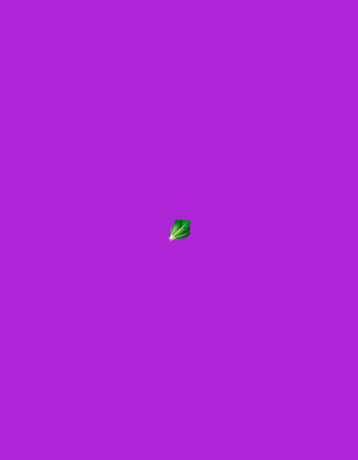 The image depicts a single green leaf, likely a piece of lettuce or spinach, centrally placed against a solid, vibrant purple background. There is no discernible urban environment, and therefore no location in Moscow, Russia can be inferred. The lighting is even, suggesting a studio or digitally created scene.