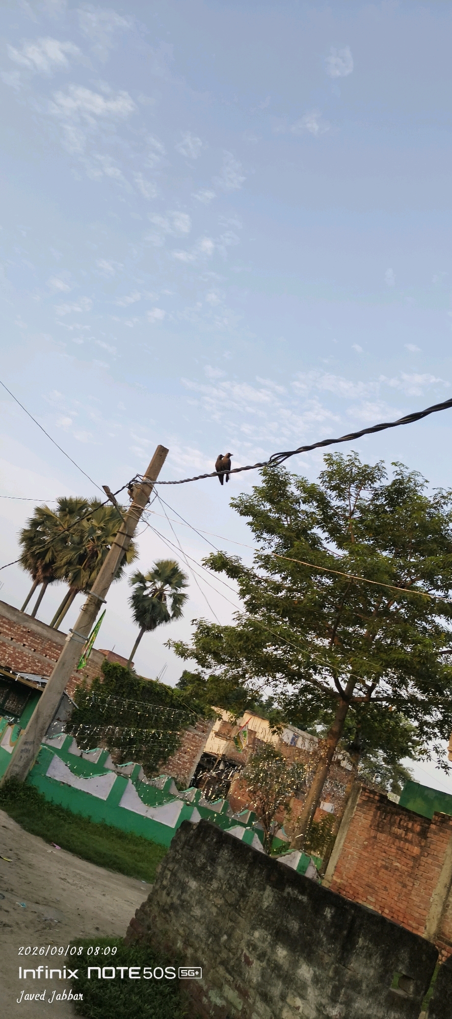A vertical, low-angle shot captures a clear sky with sparse clouds and a telephone pole on the left, adorned with wires. Two birds perch on a thick wire spanning across the frame. Below the wire, a lush green tree with dense foliage dominates the right side of the image. Further down, palm trees are visible behind a brick building with a decorative green and white border. The foreground features a rough, textured stone wall. The bottom left corner displays a timestamp reading "2026/09/08 08:09" and the text "Infinix NOTE50S SG+" and "Javed Jabbar". The scene appears to be set in Bahera, India.