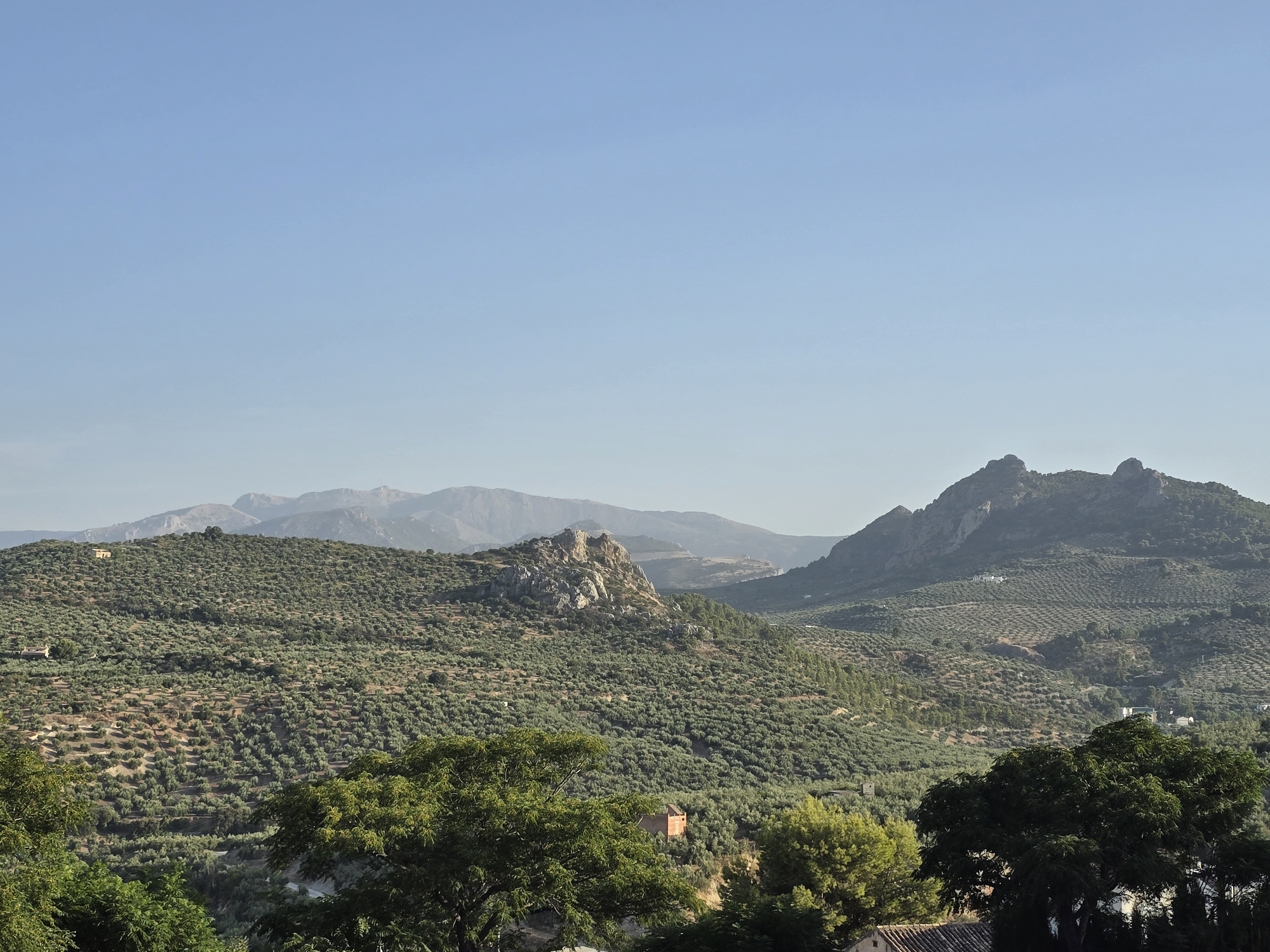 The image depicts a sun-drenched, expansive landscape dominated by rolling hills covered in olive groves, characteristic of the Jaén province in Andalusia, Spain. The terrain is rugged, with a prominent rocky outcrop jutting out from a central hill. In the distance, a series of hazy mountain ranges recede towards the horizon under a clear, pale blue sky. Scattered throughout the hills are small, rustic buildings, some appearing as small, isolated houses or farm structures, and one notably a terracotta-colored building with a square tower. The foreground is partially obscured by the dense foliage of large, green trees, suggesting a viewpoint from a slightly elevated position. The scene evokes a sense of rural tranquility and the vast agricultural expanse of the region.