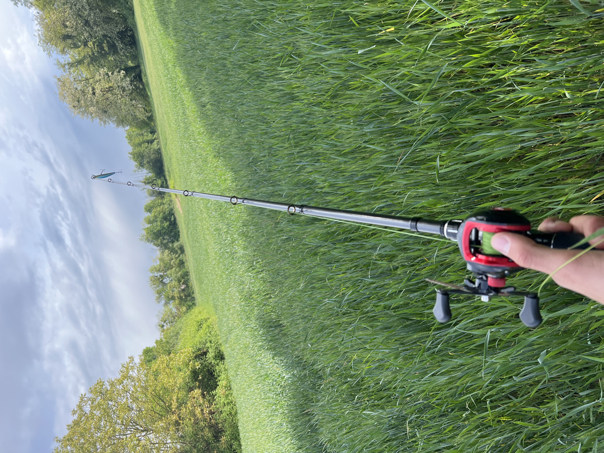 The image shows a fishing rod held by a hand, positioned over a field of tall green grass. The rod has a red and black baitcasting reel. At the end of the rod is a blue and silver fishing lure. The background consists of more tall grass, with trees visible in the distance, and a cloudy sky. There is no indication of the location being Strasbourg, France.