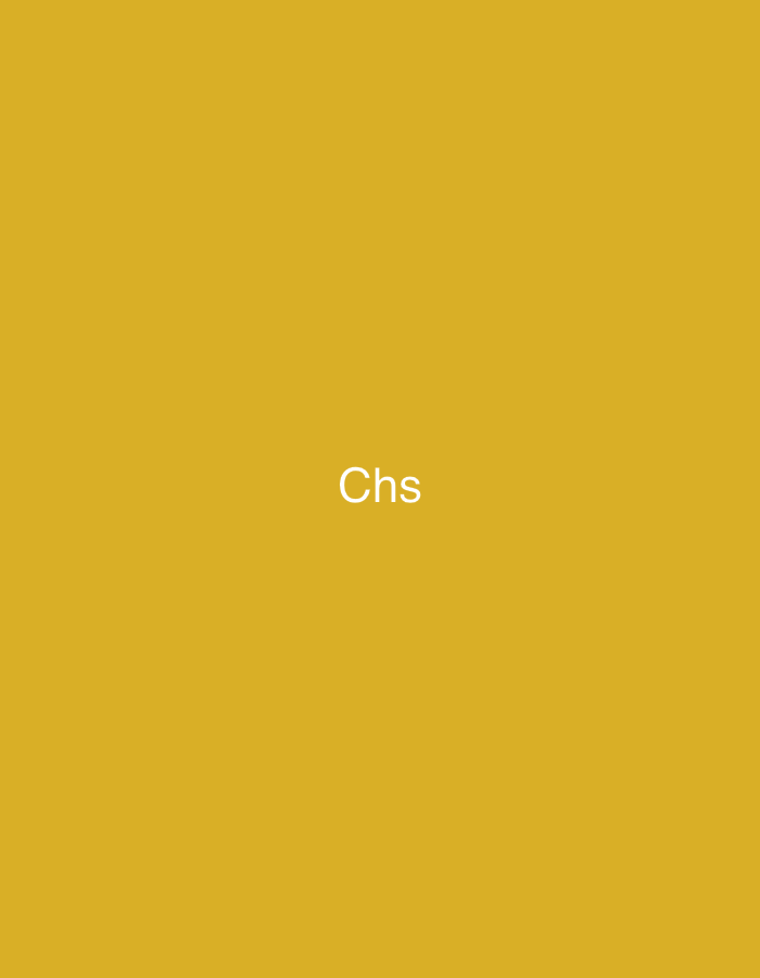 The image shows the text "Chs" in white sans-serif font centered horizontally and slightly above the vertical center of a plain, golden-yellow background. There is no discernible location in the city of Casablanca, Morocco, or any people, subjects, objects, actions, or interactions visible.