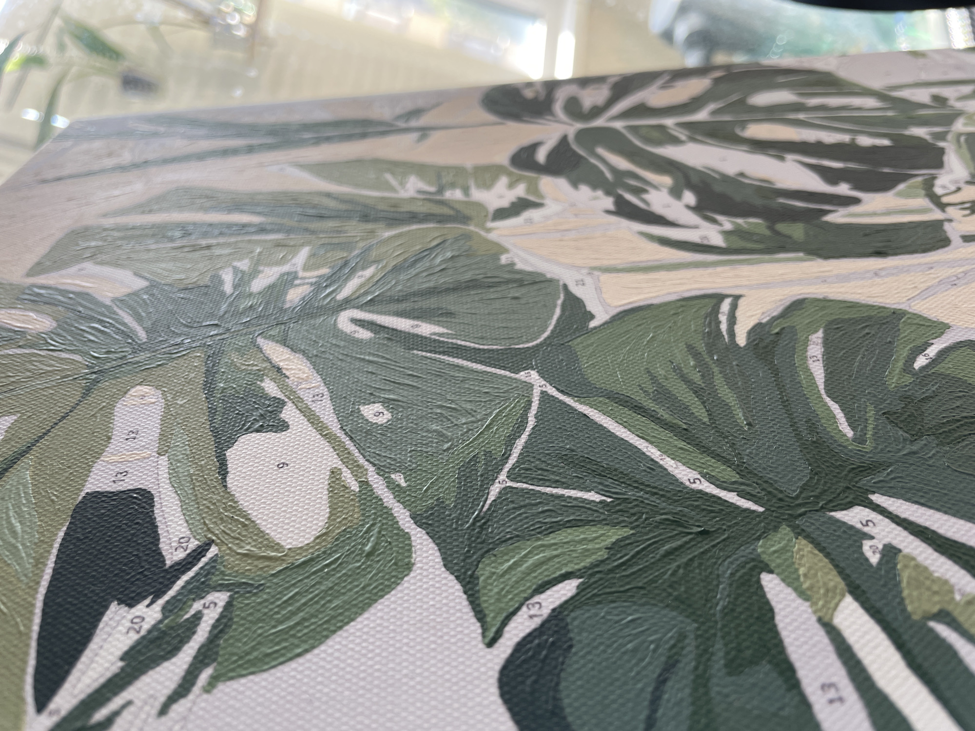 The image is a close-up, angled shot of a paint-by-numbers canvas depicting large green leaves, likely a Monstera plant. The canvas is textured and shows visible brushstrokes from partially completed sections. Numbers, such as 5, 9, 13, 20, and 22, are visible within the different sections, indicating areas to be painted. The lighting suggests the canvas is near a window, with natural light illuminating the scene and casting a warm glow. The background is blurred, showing hints of greenery and possibly a reflection of a window. There are no people or animals present in the image. The scene does not provide any information or context related to the city of Anapa, Russia.