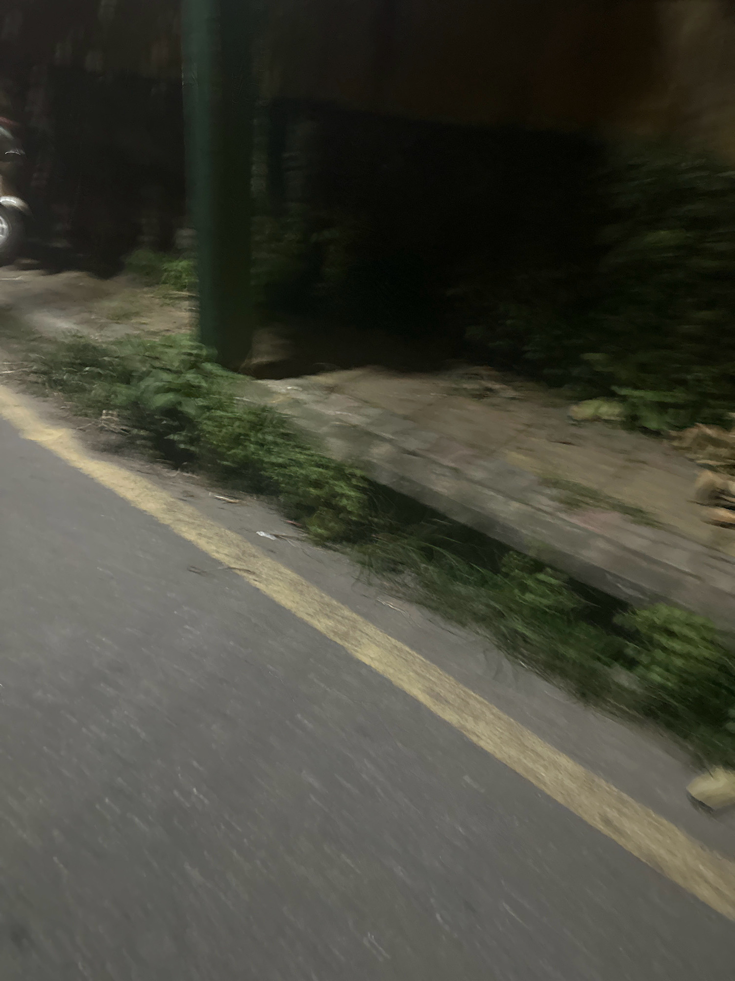 The image shows a dark, blurry scene, likely captured at night, on what appears to be a street in Lalitpur, Nepal. A yellow line is visible on the asphalt road, suggesting a lane marker. To the right of the road, there is a raised concrete curb lined with overgrown green vegetation. Beyond the curb, the scene becomes darker and more obscured by shadows and foliage, with a green pole-like object visible in the mid-left background. The overall impression is one of a dimly lit, somewhat overgrown urban edge.