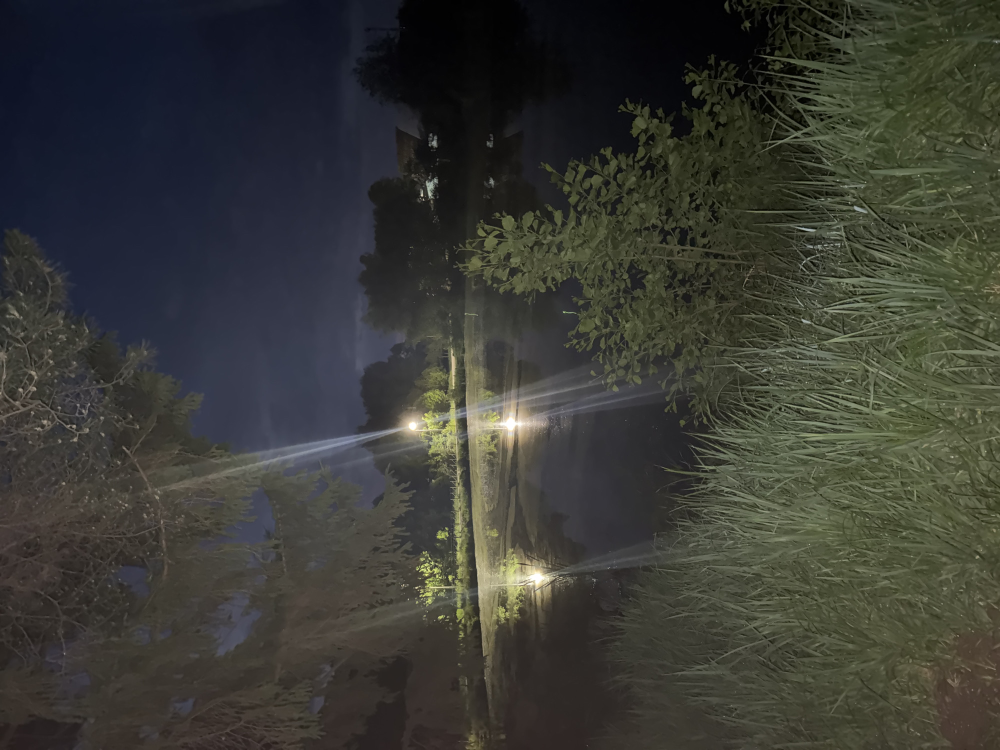 The image depicts a dark, possibly nocturnal scene, featuring a street with sparse lighting. In the distance, what appears to be a tall building can be discerned through the trees. A row of illuminated street lamps lines the street. There are trees, bushes, and tall grass on both sides of the street. The angle of the image suggests it was taken at ground level, angled upwards towards the street and the sky.
There is no evidence of people, subjects, actions or interactions visible. There is no information about it's location in the city of Chaikovsky, Russia.