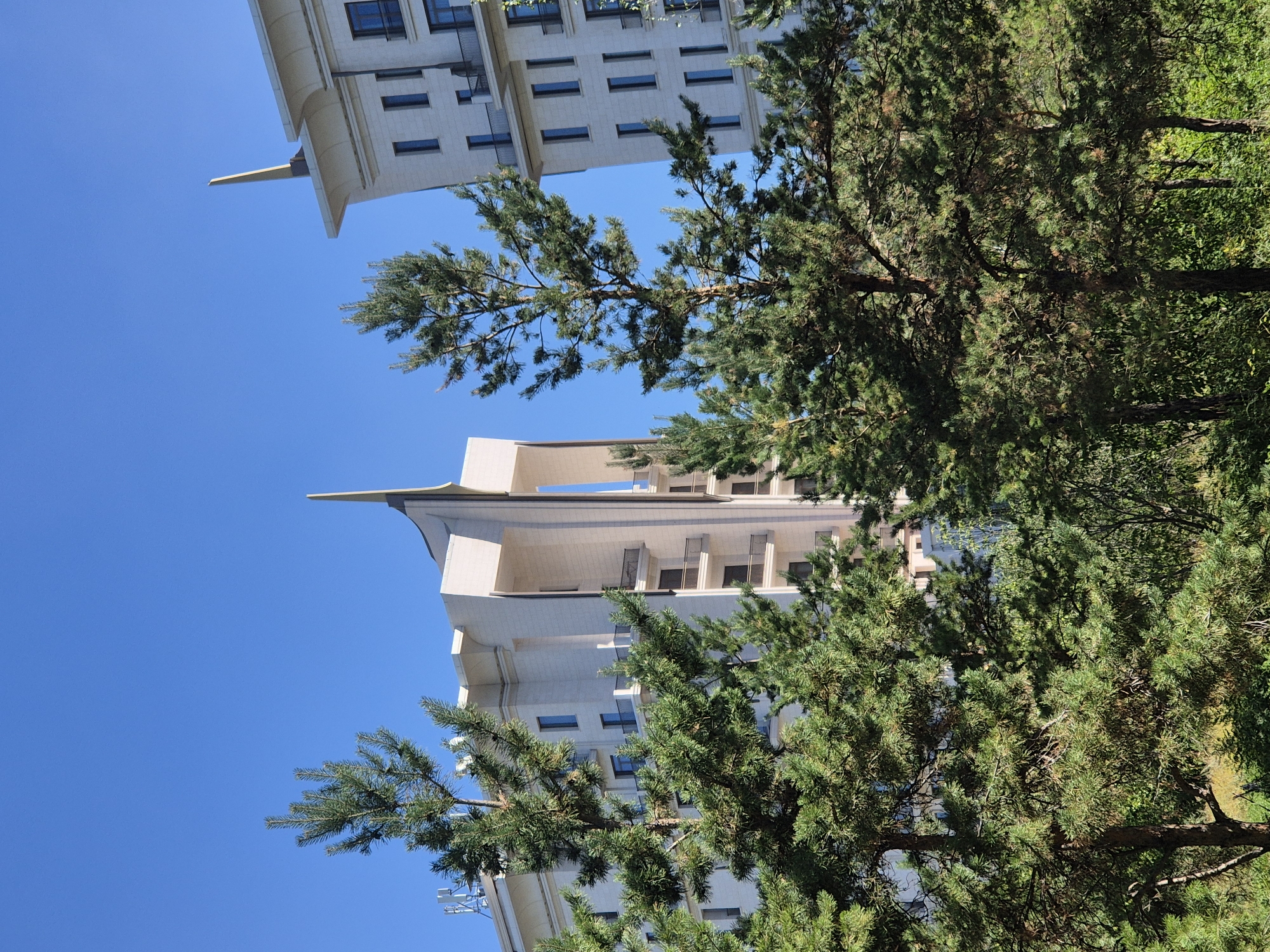 In Astana, Kazakhstan, the image captures a bright, clear blue sky above two modern, light-colored buildings, possibly hotels or residential complexes, with distinctive pointed architectural elements at their apexes. These structures are partially obscured by the foreground of lush, green pine trees. The buildings exhibit a contemporary design with numerous windows and balconies. The presence of antennas atop one of the buildings suggests it may be a hotel or a business center. The overall scene depicts a sunny day in an urban setting with a prominent natural element of evergreen trees.