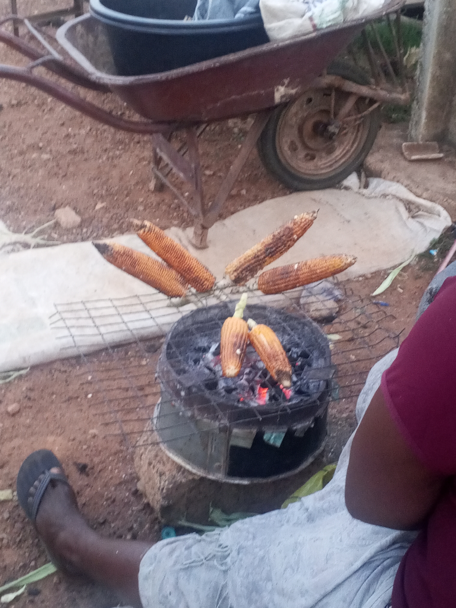 The image captures a scene of grilling corn on the cob in an outdoor setting in Bukuru, Nigeria. A small, makeshift grill, fueled by charcoal, sits atop a stone or concrete block. Corn cobs are arranged on the grill, some directly over the flames and others on a wire rack extending outwards. A person wearing a burgundy shirt and light-colored shorts is seated beside the grill, their leg extended towards the camera. To the upper left of the grill, a rusted wheelbarrow containing a black bucket-like container and a white cloth bag rests on the ground. The ground is primarily reddish-brown soil with scattered debris. A white cloth or tarp is laid out near the grill. A concrete pillar is visible on the right side of the image. The image depicts a casual, outdoor food preparation scene typical of street vending or home cooking in Bukuru.