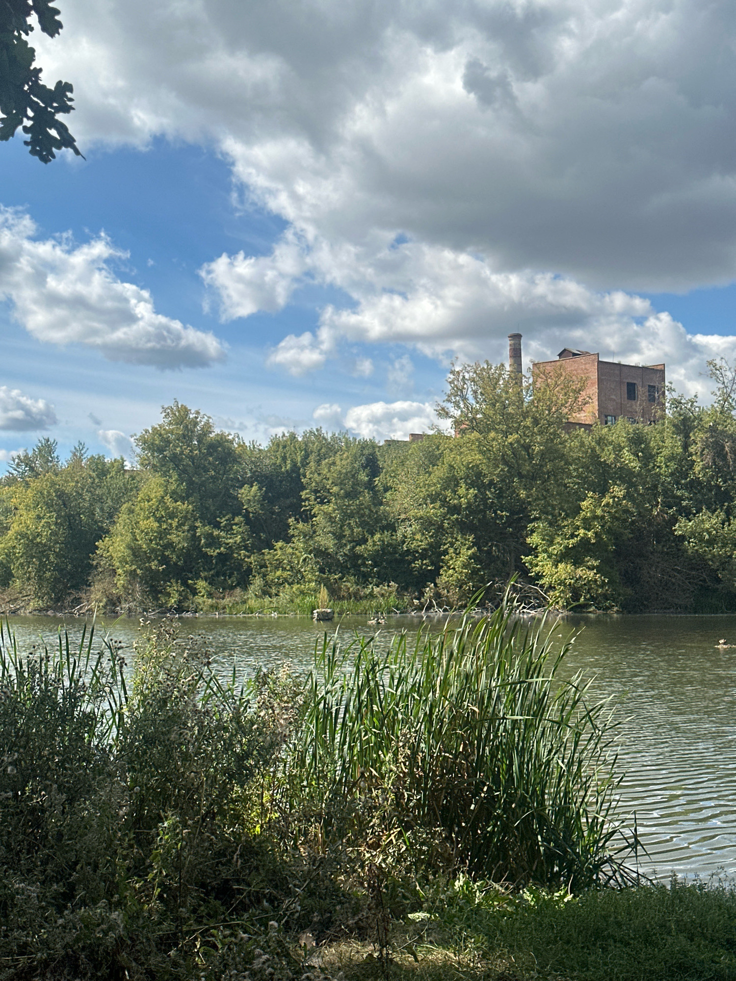 An outdoor, medium-wide shot captures a serene lake scene bordered by lush vegetation, with a brick industrial building and smokestack visible in the background. The sky is a mix of bright blue patches and dramatic, gray-white clouds. In the foreground, the lake's surface is rippled, reflecting the sky and surrounded by dense reeds and various plants. Several ducks are scattered across the water, with a few more visible on the far bank. The industrial building, constructed of brick, has a tall, cylindrical smokestack. The overall impression is one of a natural landscape juxtaposed with industrial remnants. The location is identified as Makiv, Ukraine, suggesting a potentially post-industrial or revitalized area where nature is reclaiming man-made structures.