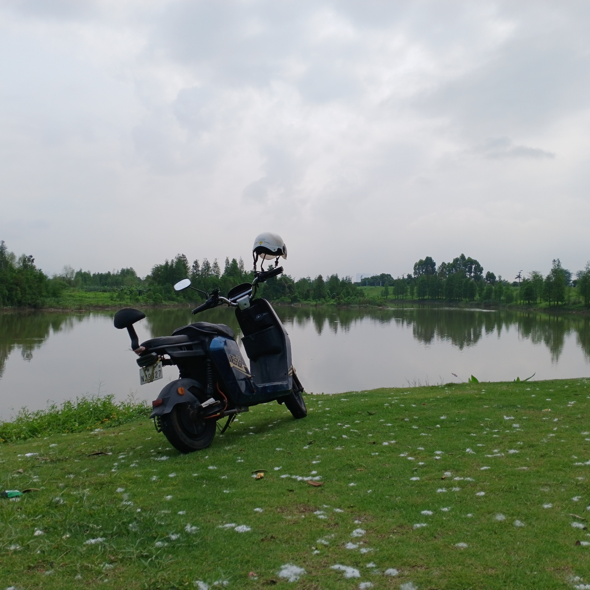 The image presents a serene outdoor scene in Shunde District, China, featuring a dark-colored electric scooter parked on a grassy bank beside a tranquil lake. A white helmet is placed on the scooter's handlebars.
The scooter, identified by the text "T50" on its side, displays a license plate with the characters "N29/27". It rests on a vibrant green lawn that is distinctly covered with numerous small, white, fluffy particles, possibly seeds or cottonwood fluff.
The calm lake occupies the middle ground, its surface acting as a mirror to the overcast sky and the lush green trees that line its far bank. These trees, a mix of coniferous and deciduous types, create a dense, verdant backdrop. In the distant background, beyond the tree line, faint outlines of infrastructure like power lines or buildings are visible, suggesting proximity to a developed area.
The sky is completely overcast with soft, grey clouds, indicating a cloudy day without direct sunlight. No people are visible, contributing to a sense of peaceful solitude. The scene suggests a leisurely stop or a quiet moment of appreciation for nature.