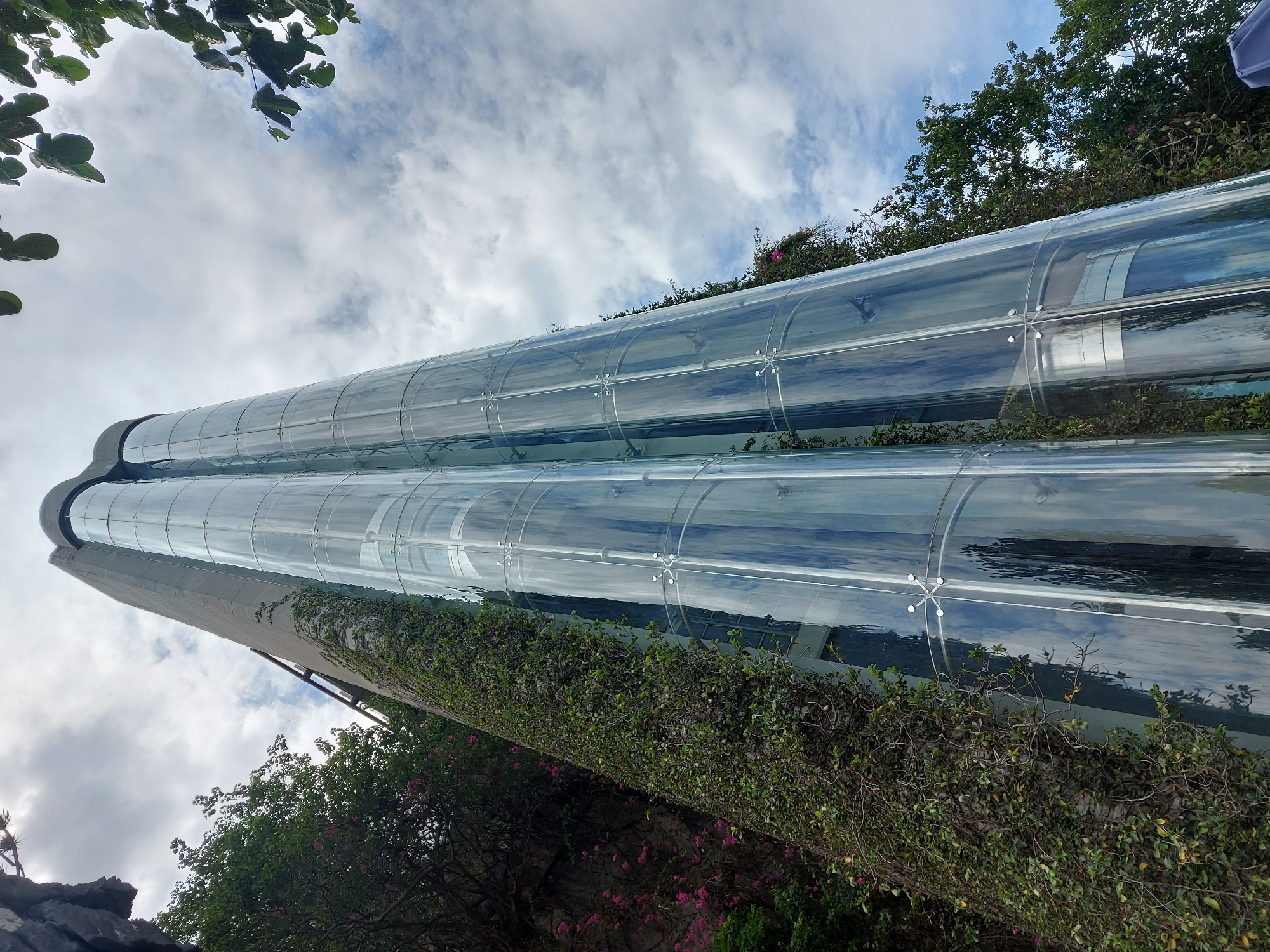 The image shows a modern glass elevator tower situated next to a cliff face covered in dense green vines and some pink flowers. The elevator has a cylindrical structure composed of multiple glass sections held together by metal fixtures. The glass reflects the cloudy sky and the surrounding foliage. To the right of the elevator, there are trees with green leaves, and the sky is filled with white and gray clouds. The elevator appears to be located in an outdoor, natural setting within a city, possibly Đà Nẵng, Vietnam, given the presence of lush vegetation and a cliff.