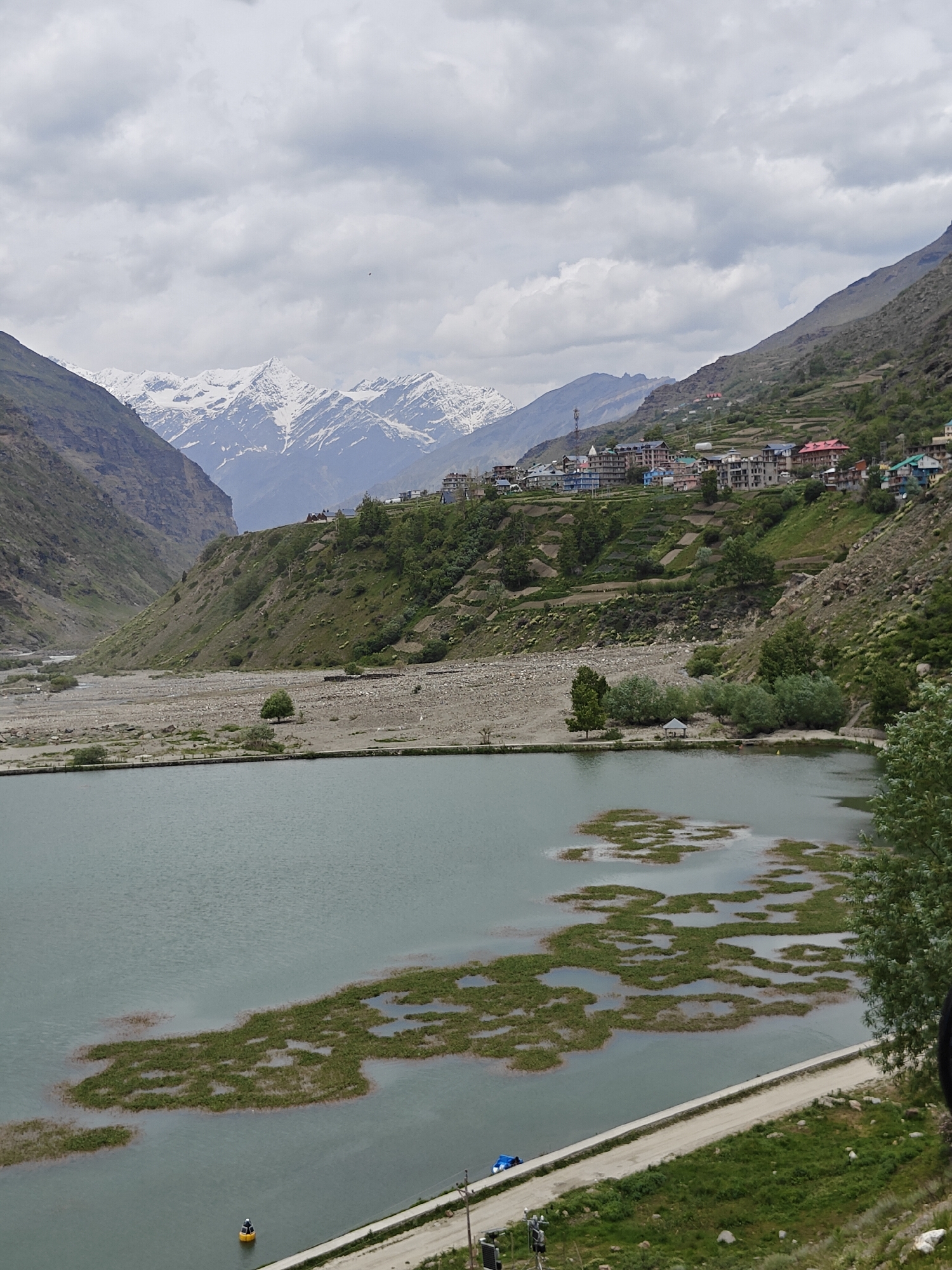 In Yamling, India, a serene lake is bordered by a gravelly shore and a road. Lush green vegetation dots the water's surface, creating abstract patterns. On the far bank, a small pavilion offers shelter, while scattered trees provide shade. Beyond the lake, a village nestles on the terraced slopes of a mountainside, its colorful buildings contrasting with the rugged landscape. Snow-capped peaks loom in the distance, their white crests contrasting with the cloudy sky.