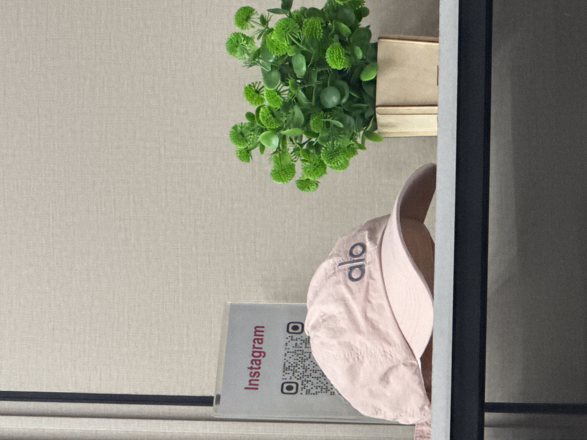An indoor scene depicts a pink baseball cap with "alo" embroidered in dark lettering. To the left of the cap is a sign with "Instagram" written in pink text above a QR code. To the right of the cap is a small potted plant with bright green, spherical leaves. The subjects are on a shelf against a textured, neutral-colored wall. The scene is not in Kokshetau, Kazakhstan.