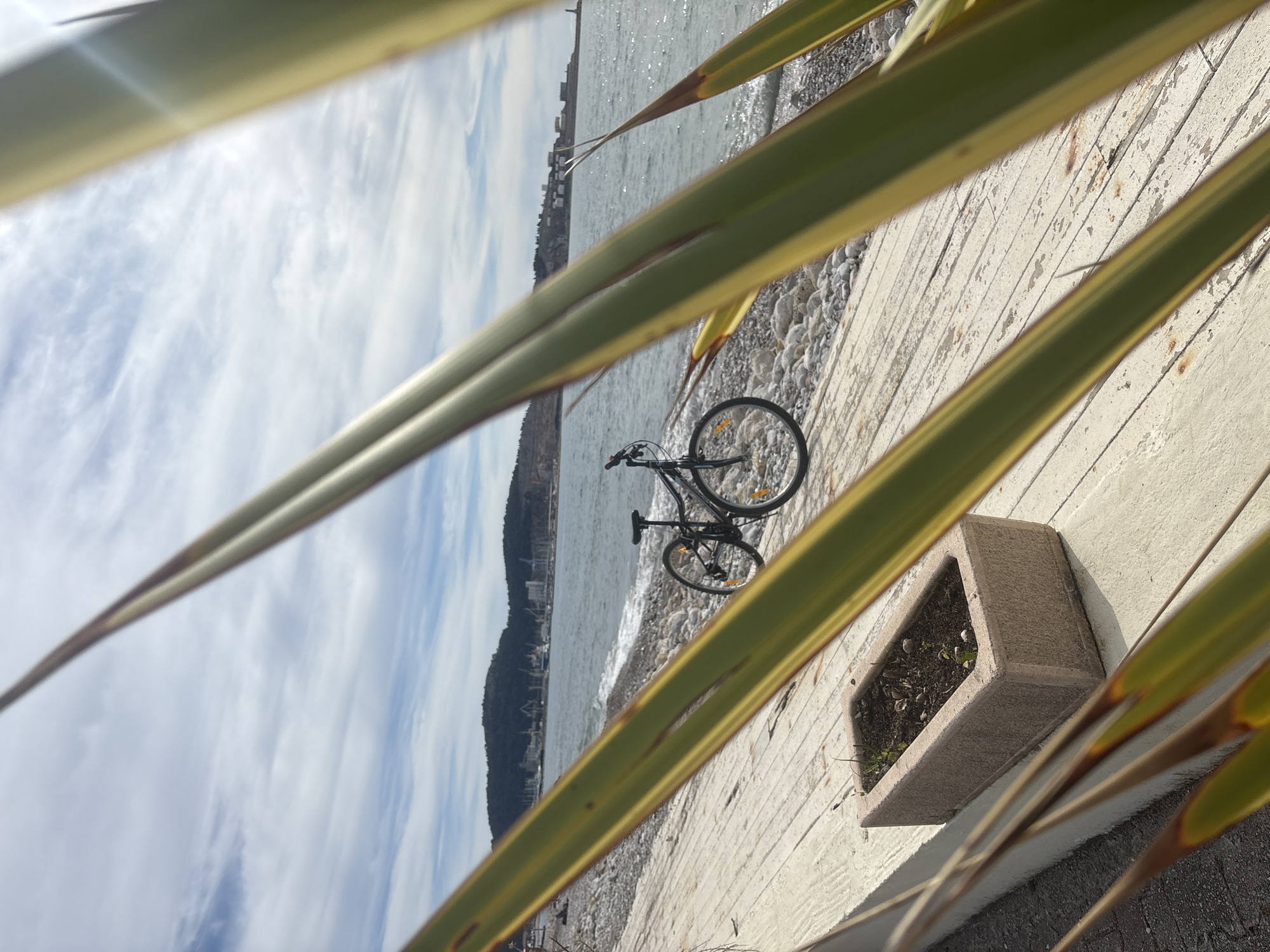A bicycle is leaning against a wall separating a seaside promenade from a rocky beach in Bar, Montenegro. The bicycle is black and appears to be a hybrid or road bike. Behind the bicycle is the Adriatic Sea and the coast of Bar, with buildings and vegetation visible along the shoreline. The sky is partly cloudy. In the foreground, there are leaves from a plant, partially obscuring the view. A concrete planter is affixed to the wall. The promenade is paved with whitewashed stone.