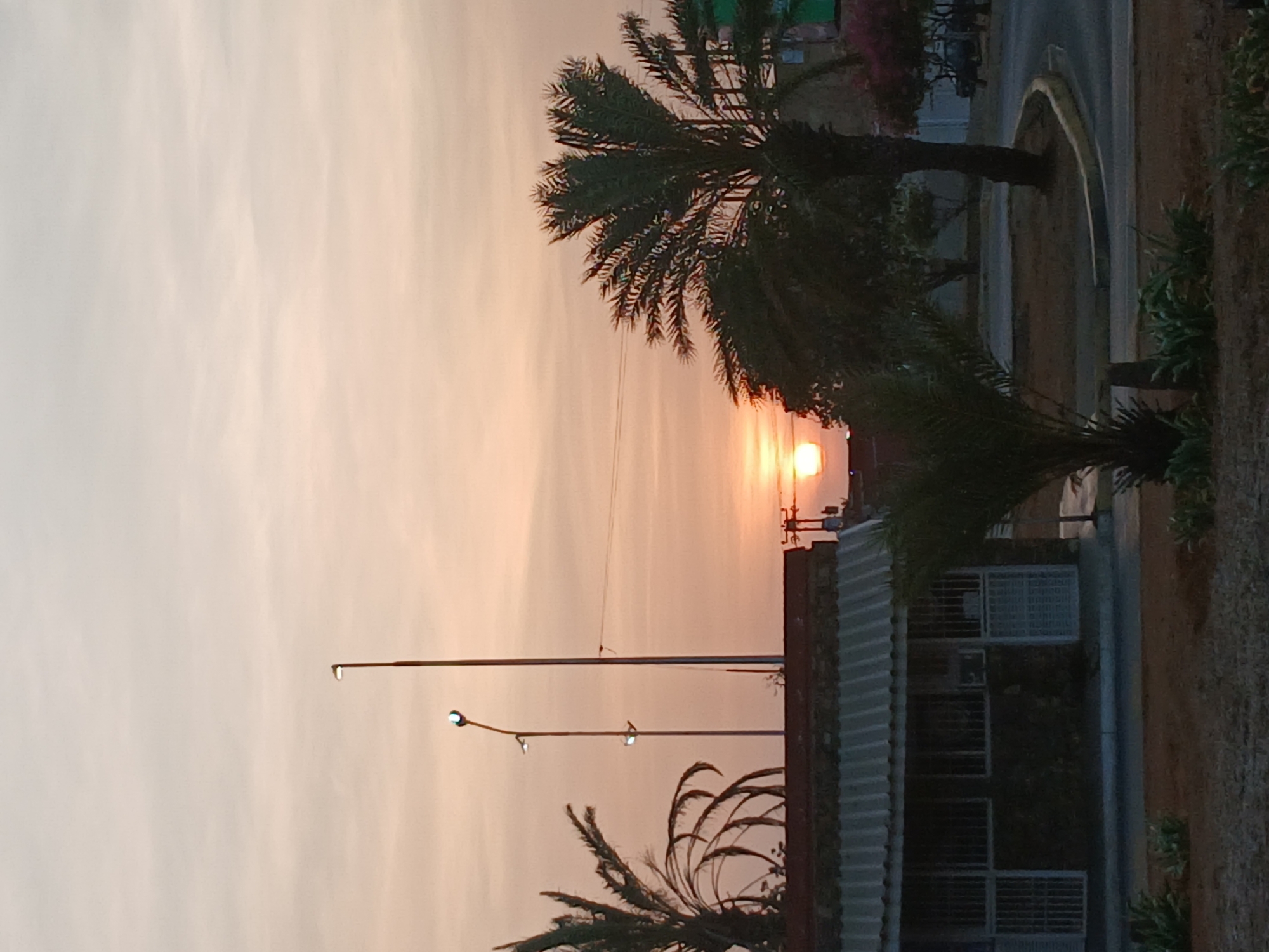 The image depicts a sunset scene in what appears to be Juan Griego, Venezuela, based on architectural and environmental context. The sky is a gradient of pale orange and white, indicative of sunset lighting. In the foreground, there are palm trees and foliage lining what seems to be a street or walkway. A building with a corrugated roof and barred windows is also visible. Streetlights are present, suggesting an urban or suburban setting. The sun is low on the horizon, appearing as a bright orb partially obscured by trees and other structures. No people are visible in the frame. The overall environment suggests a tranquil scene at dusk in a coastal location.