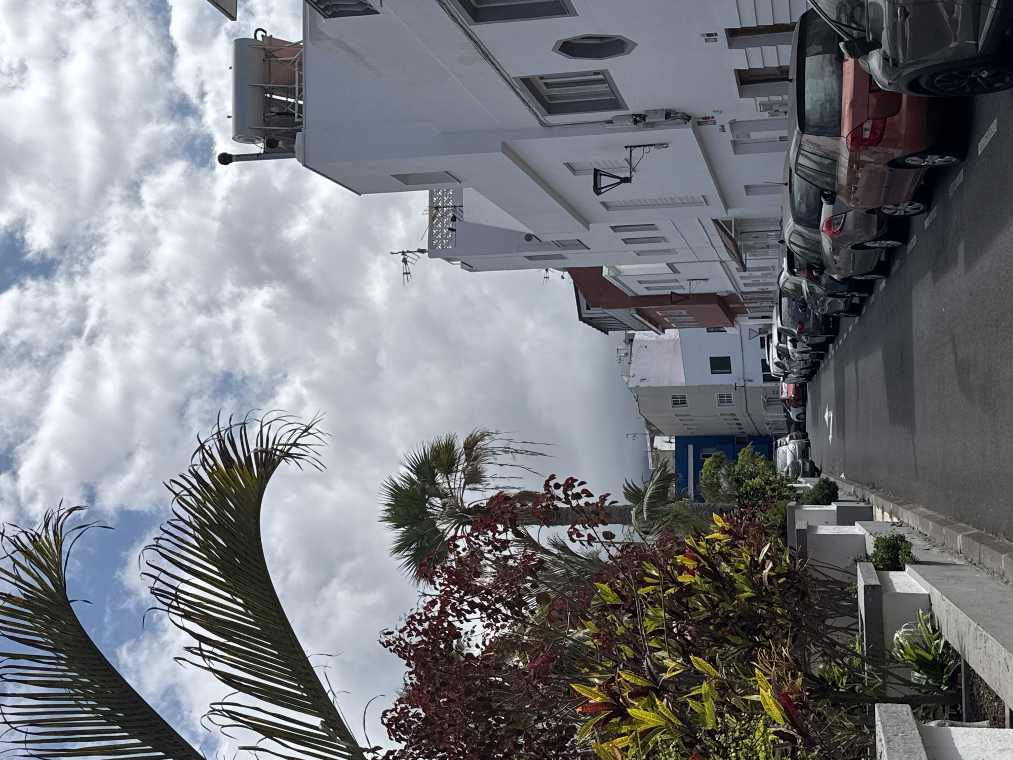 The image depicts a narrow street lined with white buildings in a city. Lush green and red foliage is visible on the left side, bordering concrete planters. A palm tree stands tall in the background. Several cars are parked along the street. The sky is overcast with scattered clouds. The scene appears to be an outdoor, urban environment during daylight.