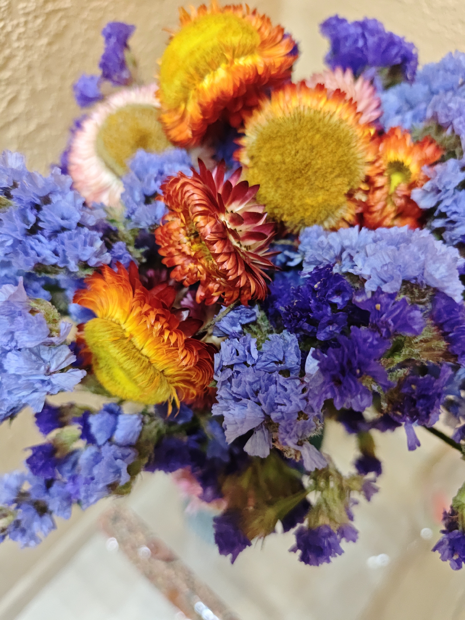 This is a close-up, overhead, vertical shot of a bouquet of dried flowers. The flowers are a mix of colors, with prominent orange and yellow strawflowers, and clusters of small blue and purple statice flowers. The background is a textured, light brown wall. There is a suggestion of a reflective surface beneath the flowers, possibly a table or shelf. The image does not contain any people or specific landmarks that would indicate a location in the city of Yalta, Ukraine.