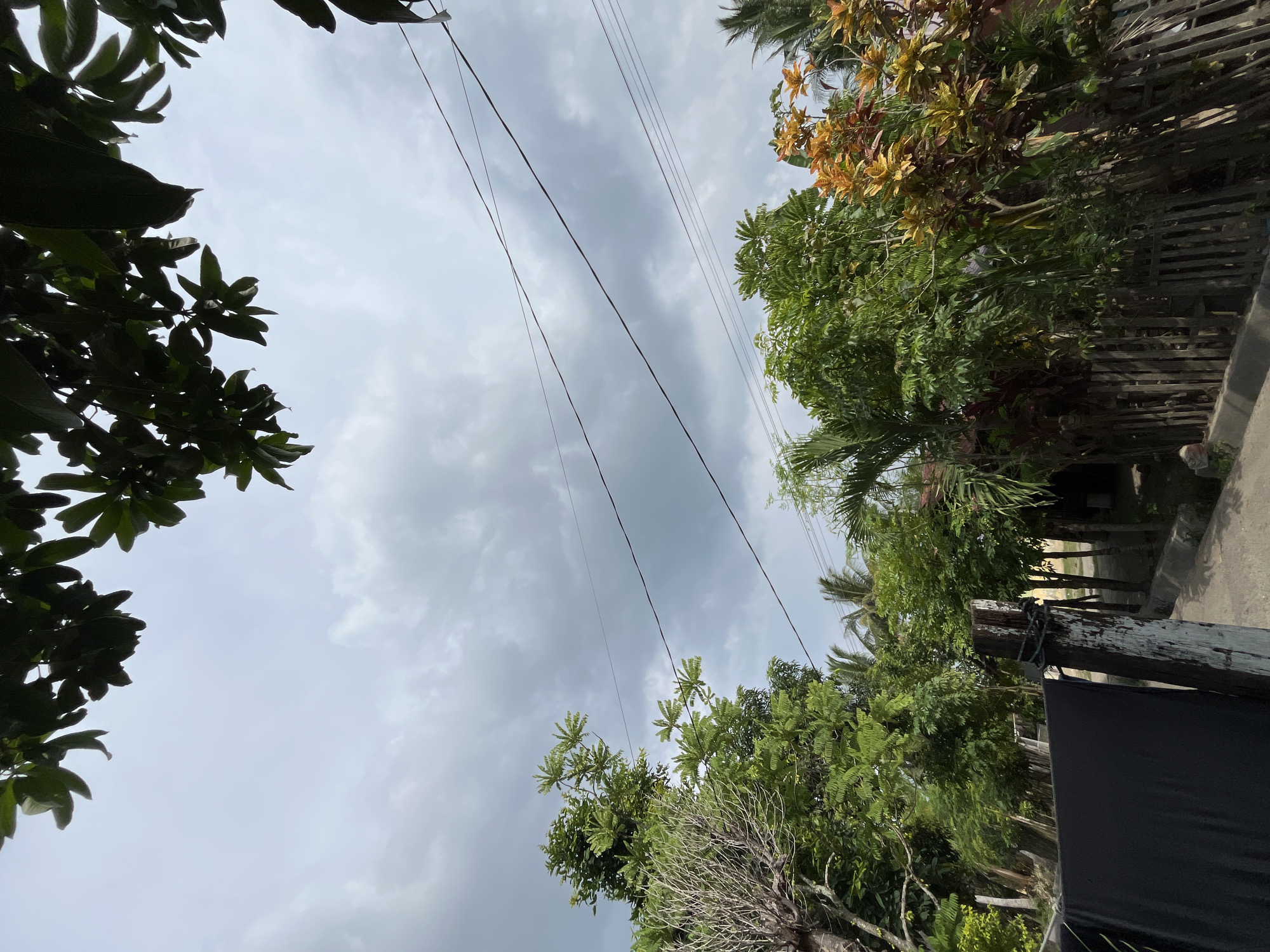 The image depicts a view of the sky and vegetation from a ground-level perspective, likely in Kruengmate, Indonesia. Overhead, dark, cloudy skies dominate the upper portion of the frame, with tree branches and leaves from a large tree silhouetted against the diffused light at the very top. Several power lines stretch horizontally across the sky.
Below the sky, a variety of lush green trees and plants fill the middle ground. Some of these plants, particularly on the right side of the image, have leaves with vibrant orange and yellow hues. A rustic wooden fence runs along the middle ground, separating the area from what appears to be a path or road. A weathered wooden post, tied with rope, stands prominently in the foreground to the left of the path. To the far left, a large section of dark fabric, possibly a tarp or cloth, is draped. The overall scene suggests an outdoor environment with natural elements and signs of human infrastructure.