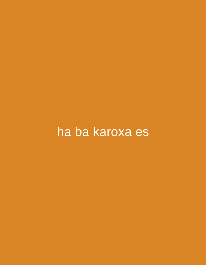The image displays the text "ha ba karoxa es" in white font against a solid orange background. There is no evidence to suggest this image is located in Yerevan, Armenia, or any specific city. The image contains no people, subjects, objects, actions, interactions, or environmental details beyond the text and background color.