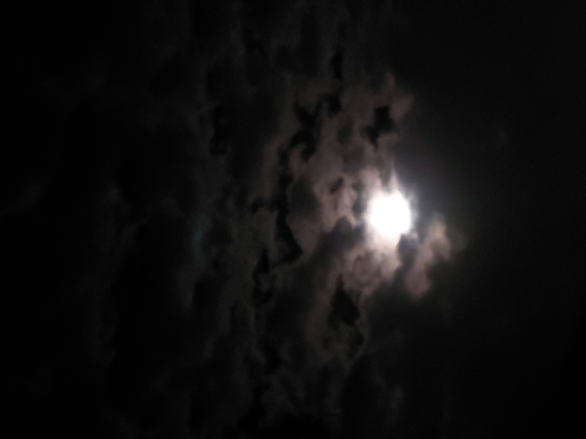 The image captures a dramatic nighttime sky scene, likely in Santa Ana, Venezuela, where a brilliant moon shines through a dense layer of dark clouds. The sky is predominantly black, emphasizing the deep obscurity of the night.
The central subject is the moon, positioned towards the right side of the frame. It appears as a very bright, almost overexposed, white light source, radiating a soft glow that diffuses into the surrounding clouds. Its edges are indistinct due to the atmospheric effects and cloud cover, suggesting a full or nearly full moon.
Surrounding and partially obscuring the moon are numerous dark, textured clouds. These clouds range in tone from deep black to various shades of gray and faint purple, with their lighter edges illuminated by the moon's glow. They form an intricate, chaotic pattern across the sky, leaving only small, irregular clearings through which the moon's light can intensely break through. Some areas of the clouds appear almost translucent where the moonlight is strongest, creating a halo effect. The dark masses of clouds provide a stark contrast to the luminous moon, contributing to a sense of mystery and depth.
The overall impression is one of natural grandeur and a slightly eerie, yet beautiful, celestial display. There is no visible text in the image.