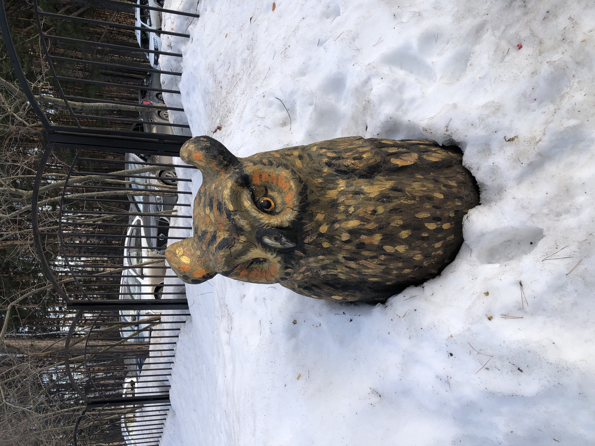 An owl statue is depicted in a snow-covered outdoor setting in Chaikovsky, Russia. The statue, appearing to be carved wood, is painted in various shades of brown, black, and gold/orange, featuring prominent orange eyes and facing directly forward. It is partially embedded in a mound of snow, which contains traces of dirt, pine needles, and minor debris. Behind the statue, a black metal fence with arched sections runs horizontally across the midground. Beyond the fence, a dense collection of bare deciduous trees and some evergreen trees are visible, with several parked vehicles (including white, silver, and dark-colored sedans and SUVs) partially obscured among and behind them. No individuals are present in the scene.
